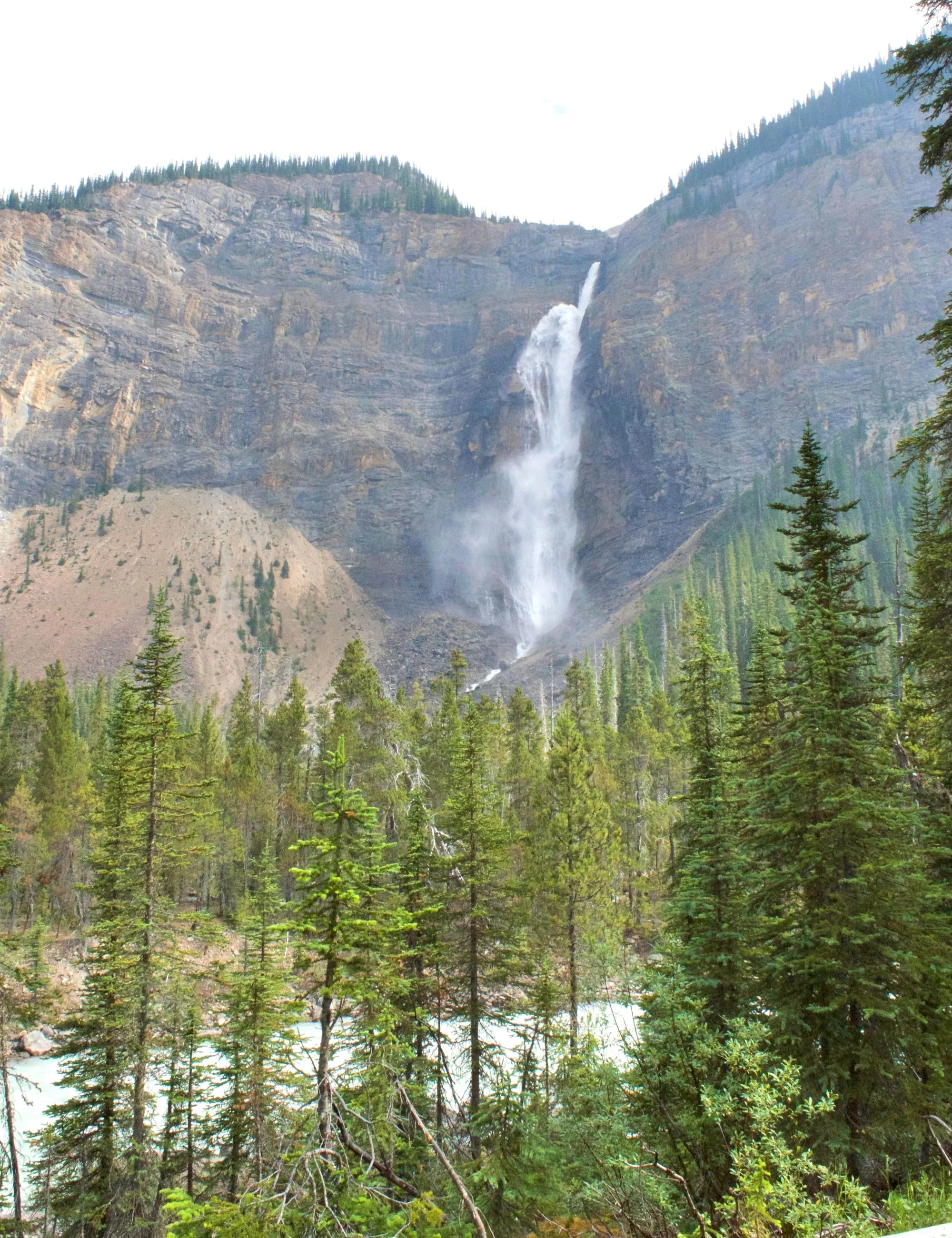 DSC_0454.jpg