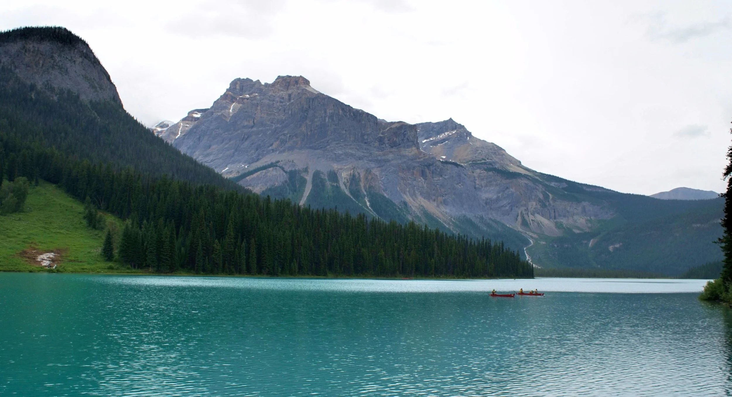 DSC_0680.jpg