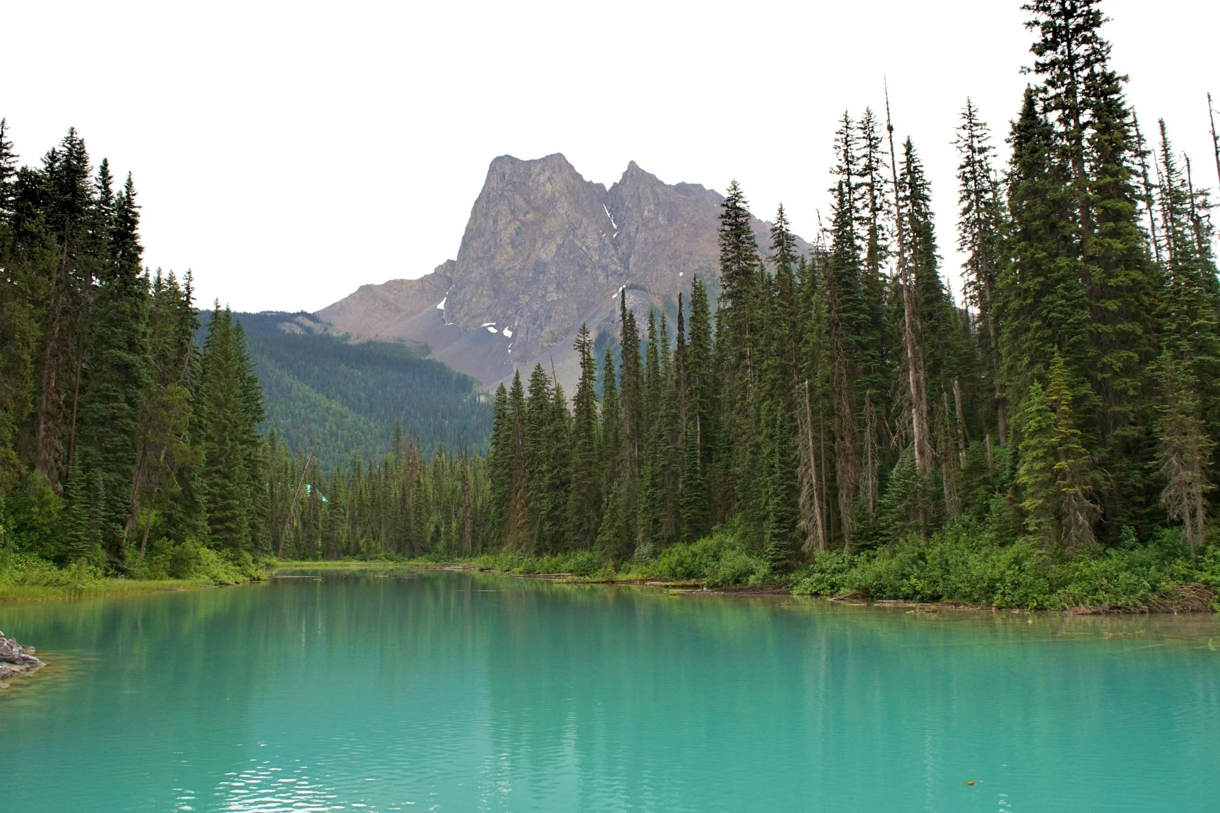 DSC_0706.jpg