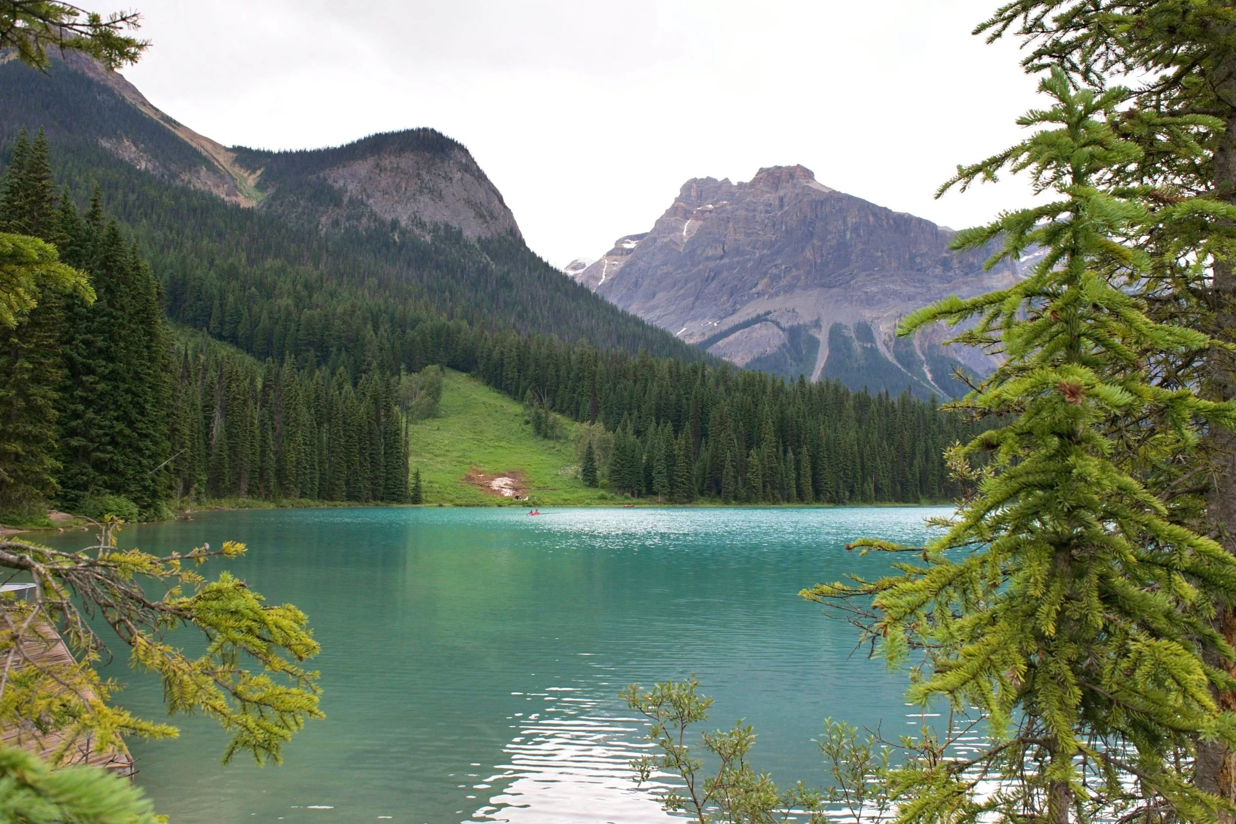 DSC_0710.jpg