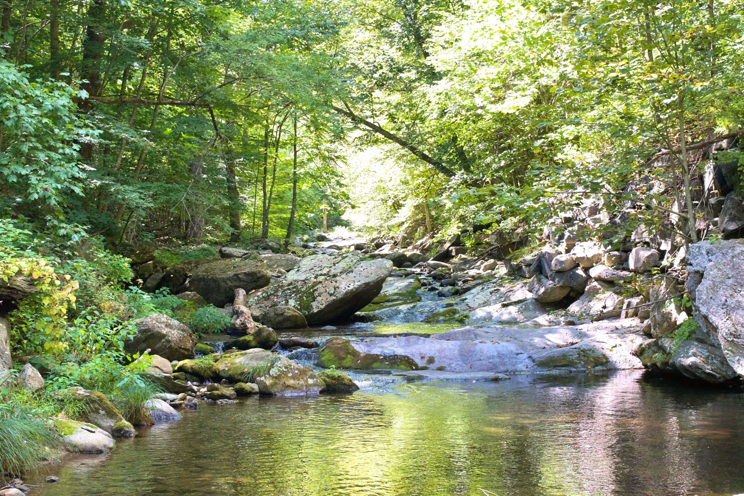 A really pretty swimming hole high on the Rapidan River, taken while fly fishing a few weeks ago.