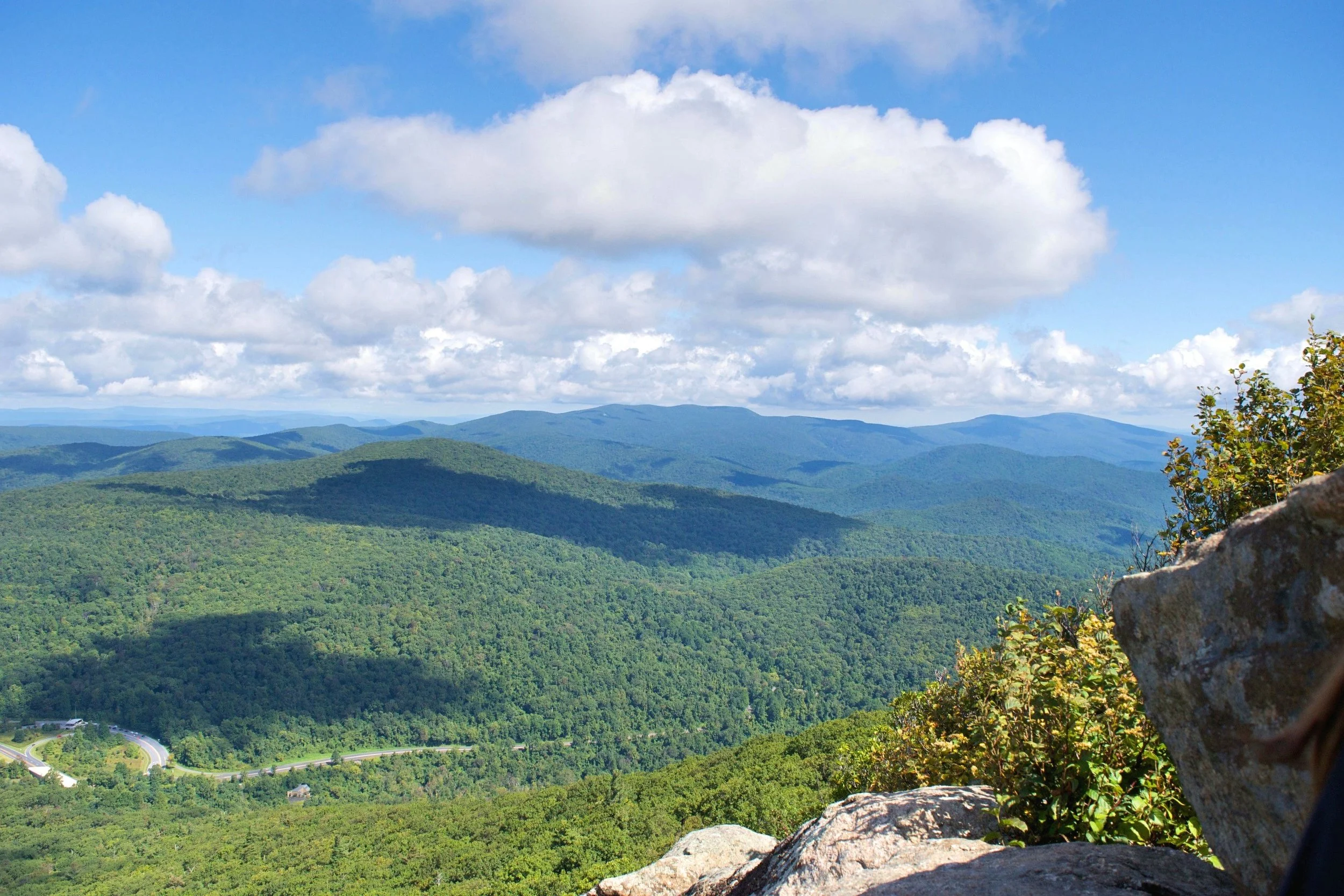 DSC_0662.jpg