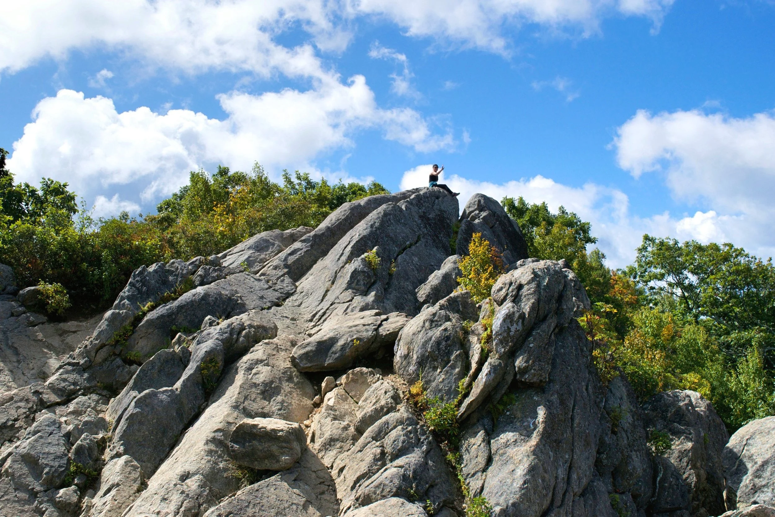 DSC_0675.jpg