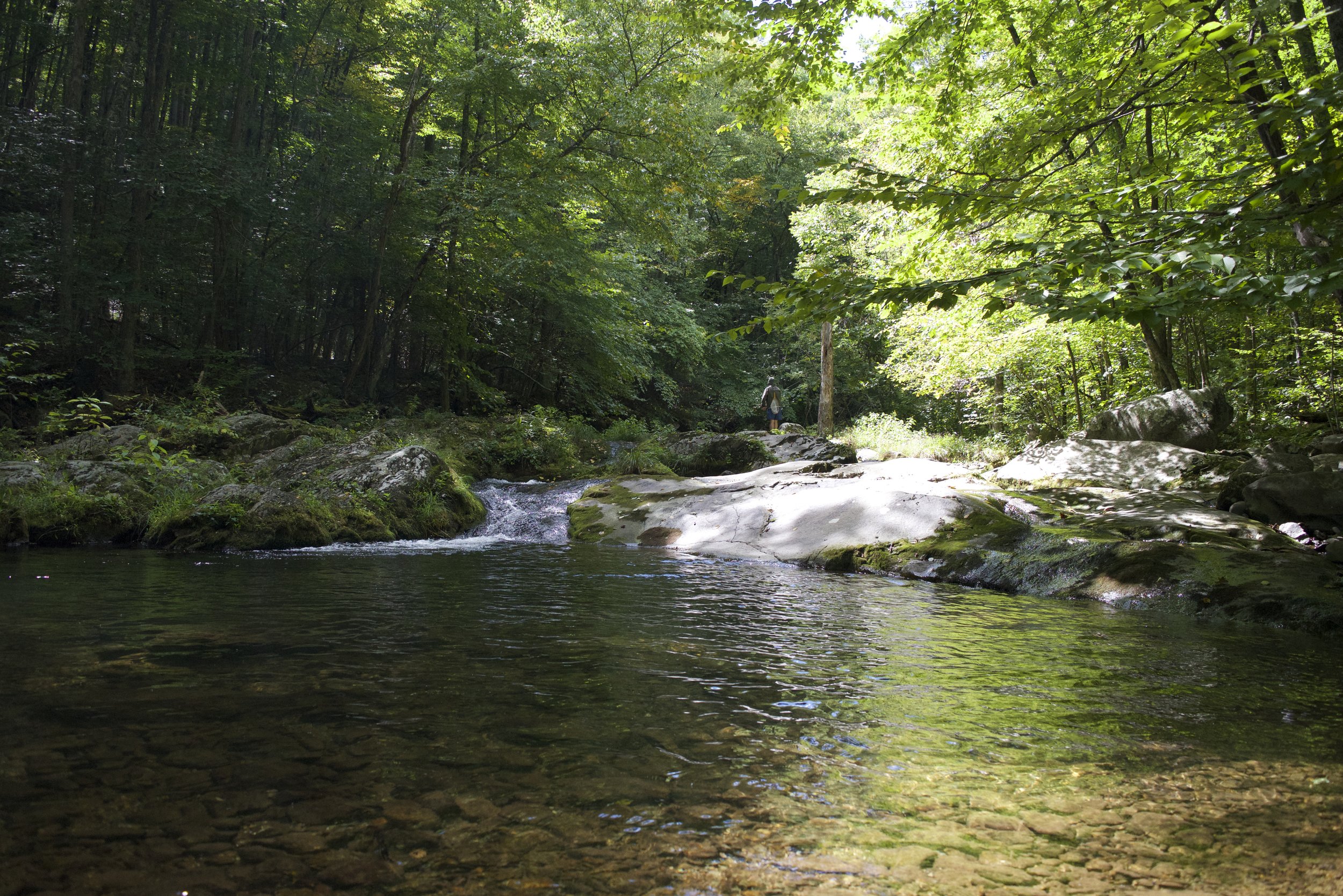 Fly Fishing the Upper Rapidan River — Snows Out West