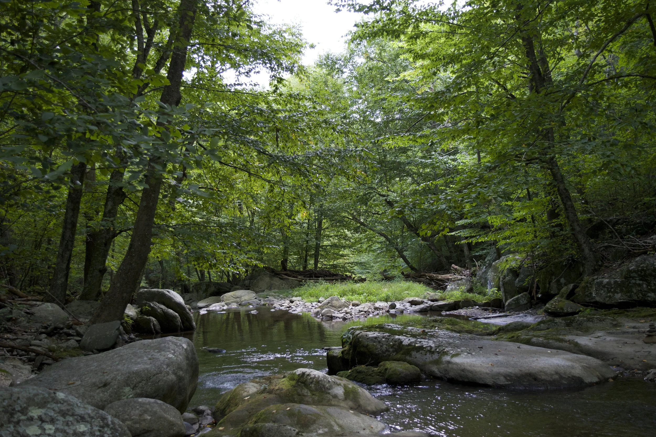 DSC_0983.jpg