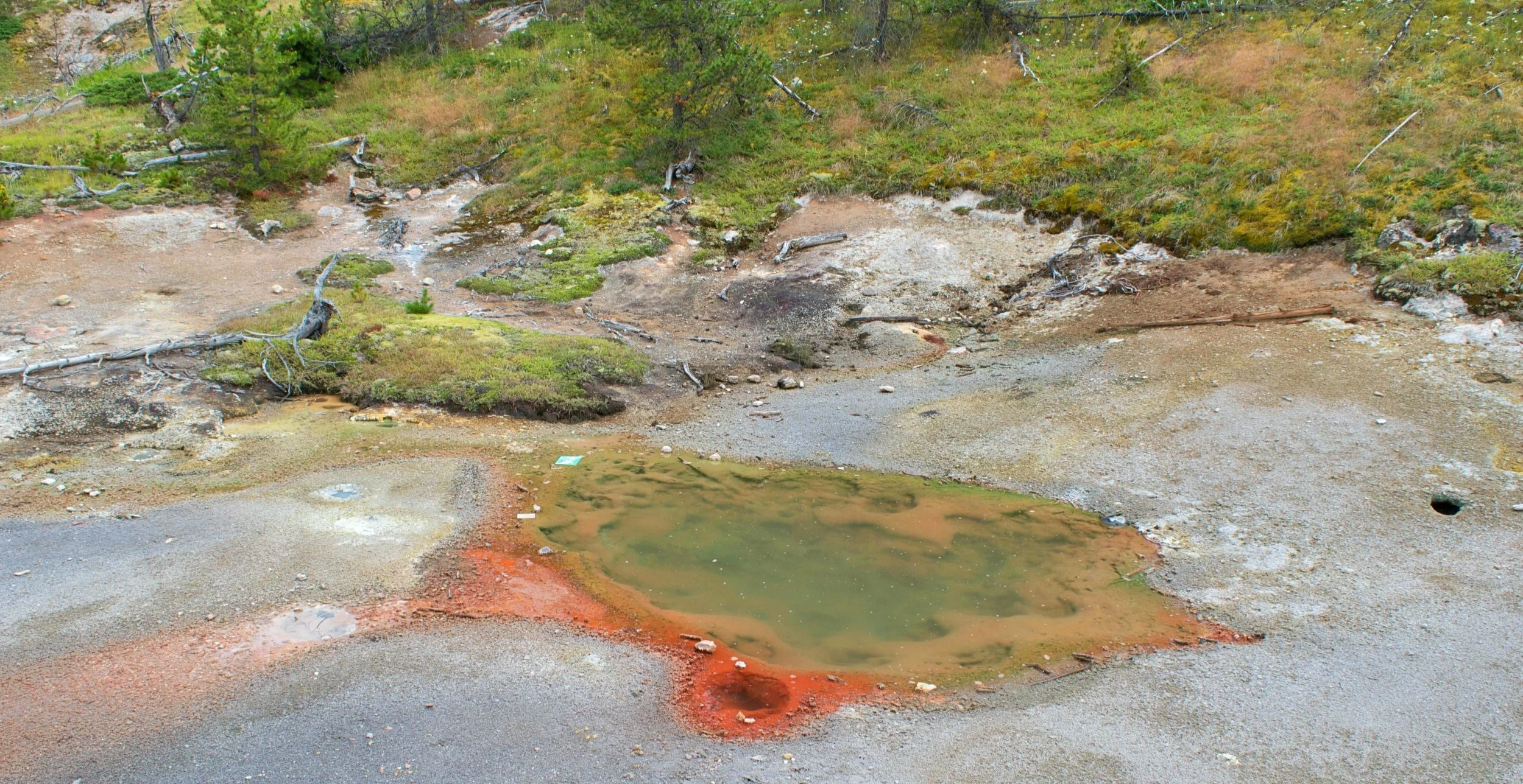 DSC_0941.jpg