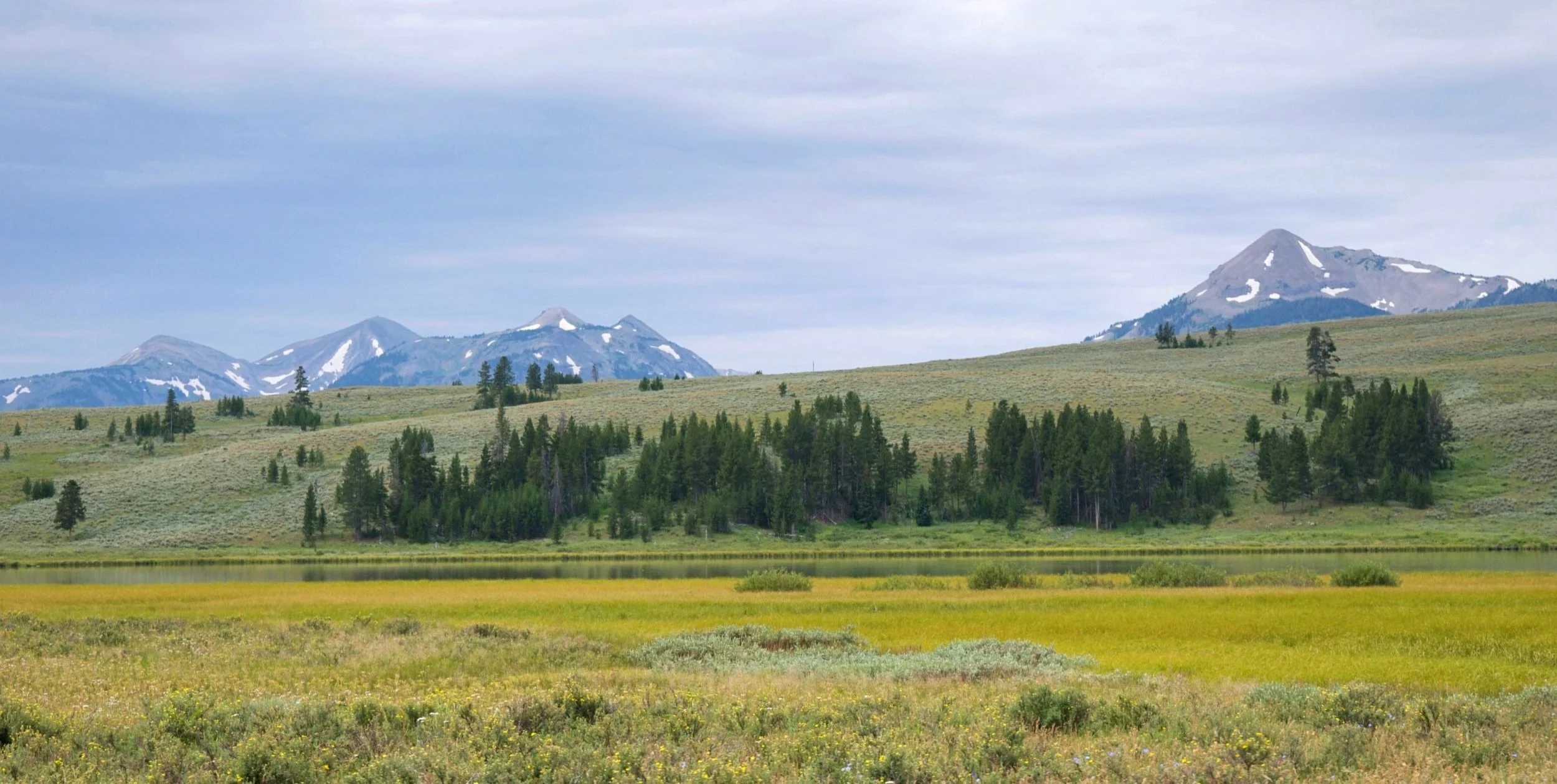 DSC_0816.jpg