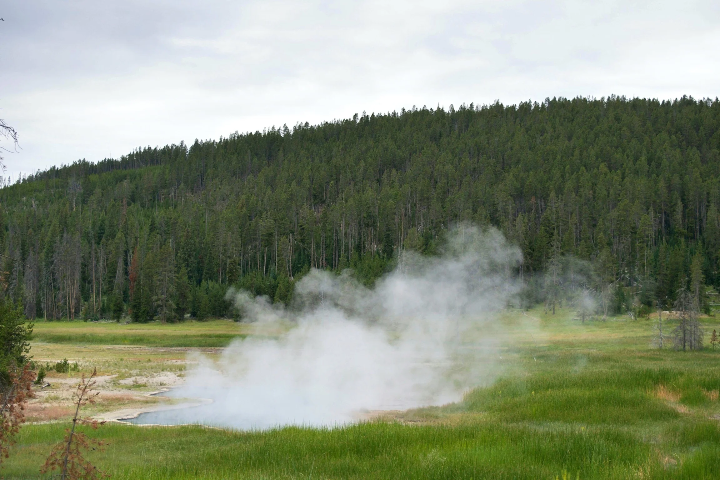 DSC_0824.jpg
