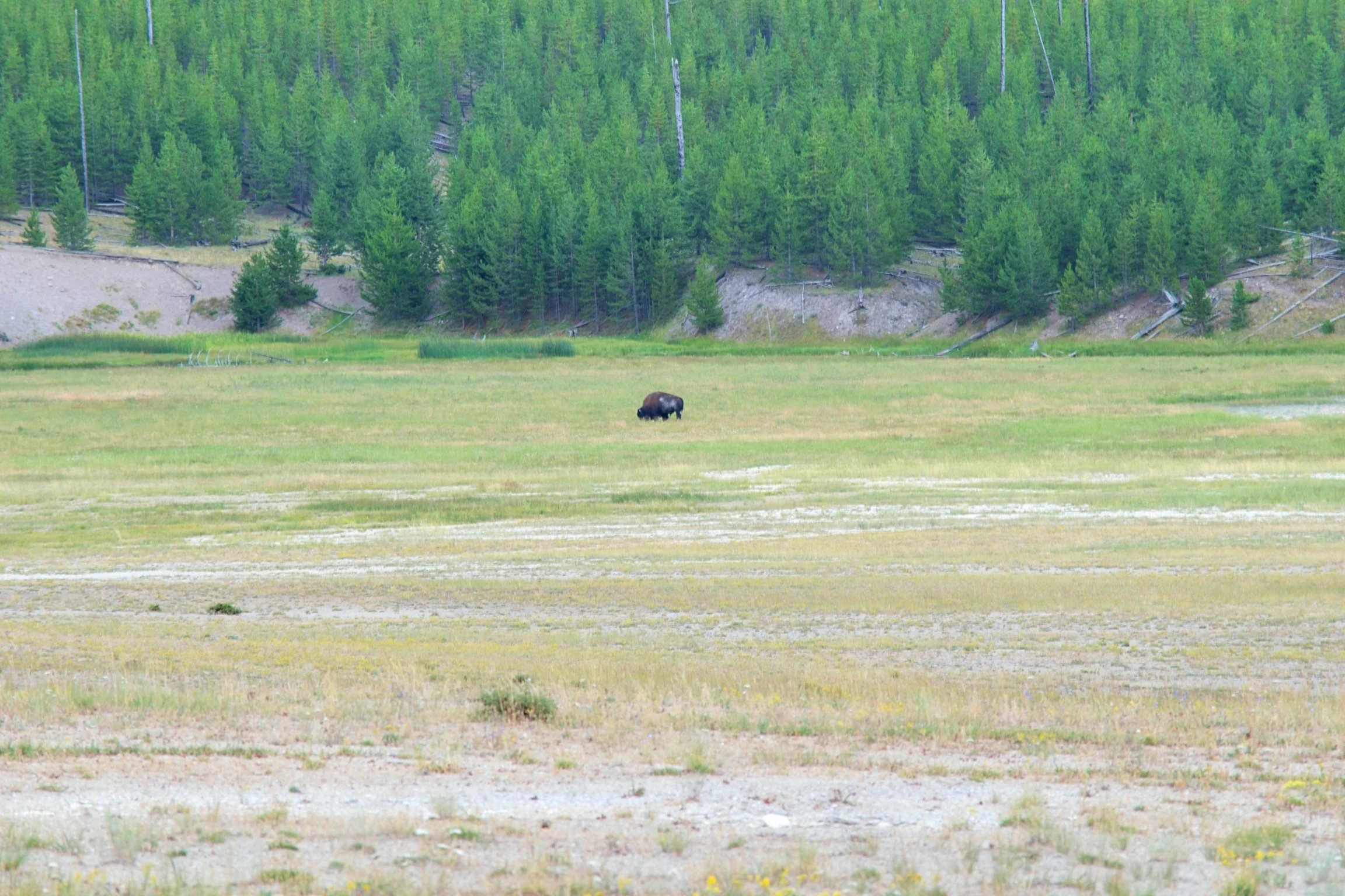 DSC_1024.jpg
