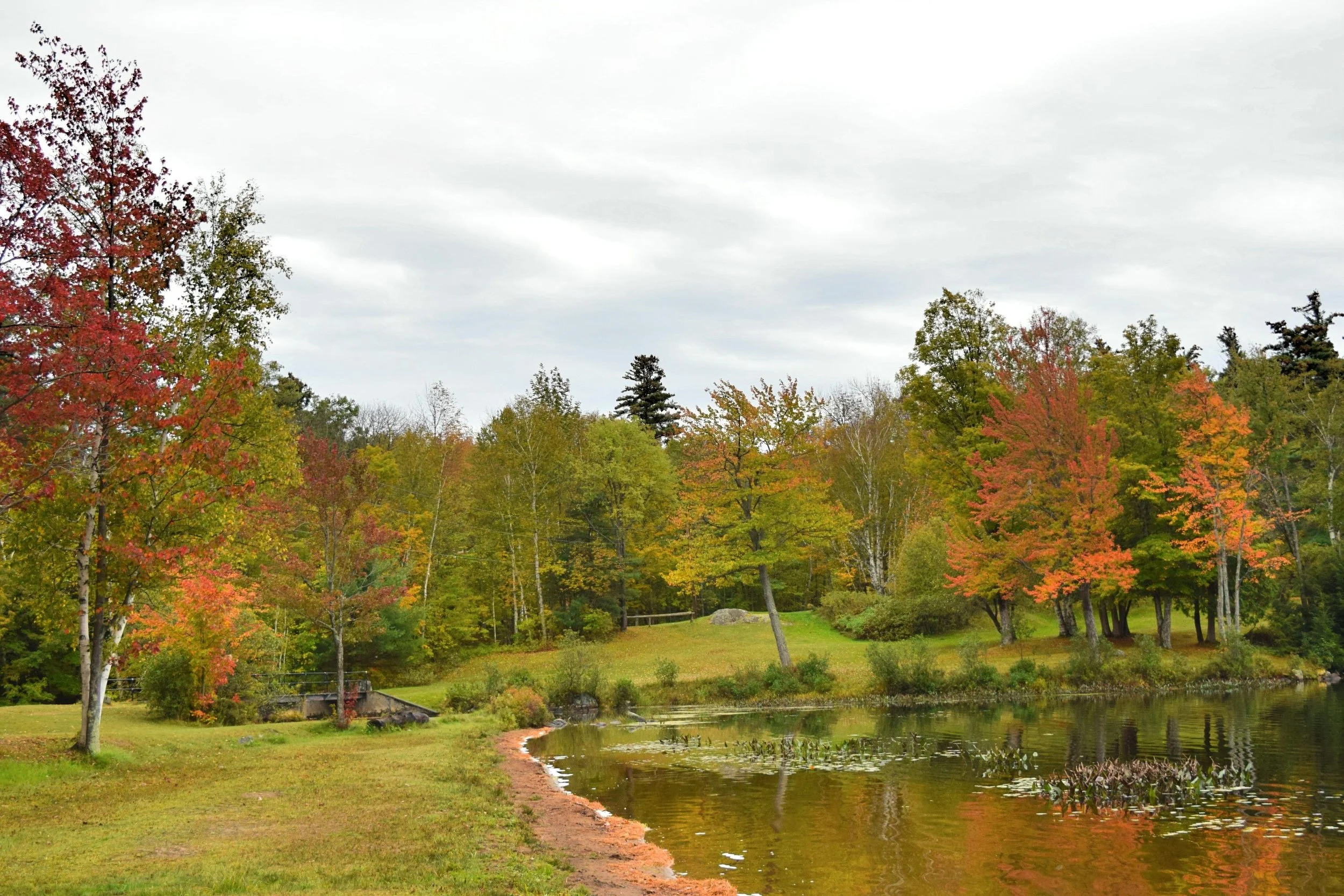 DSC_0996.jpg