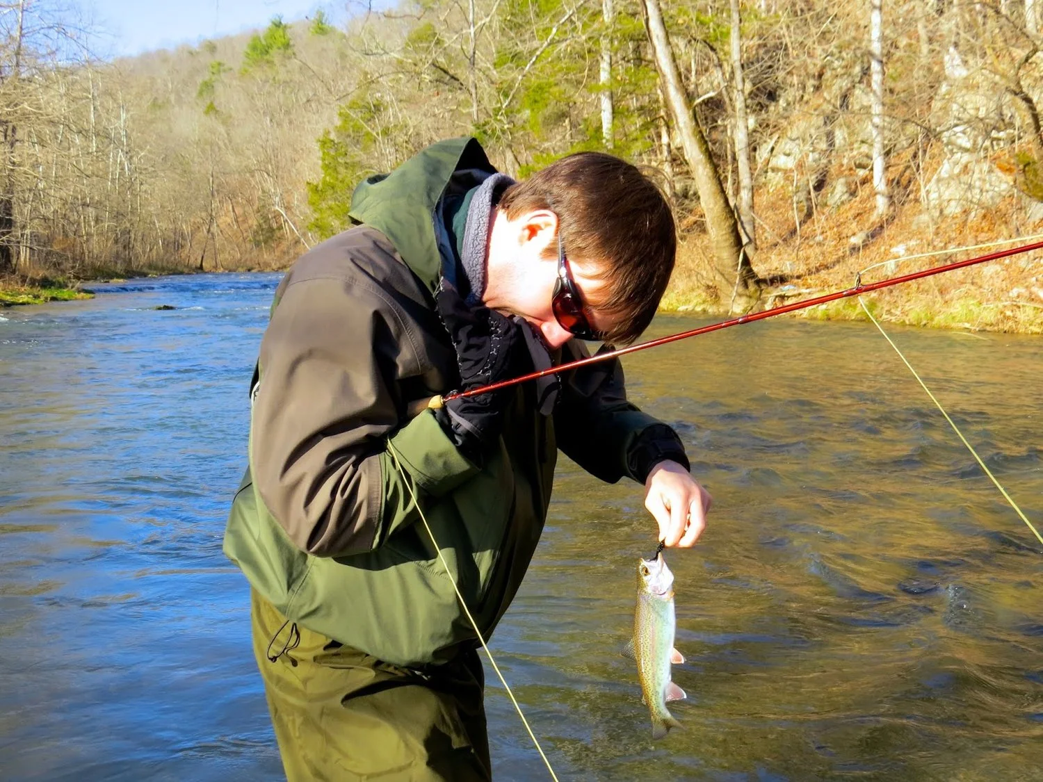 Rainbow Trout