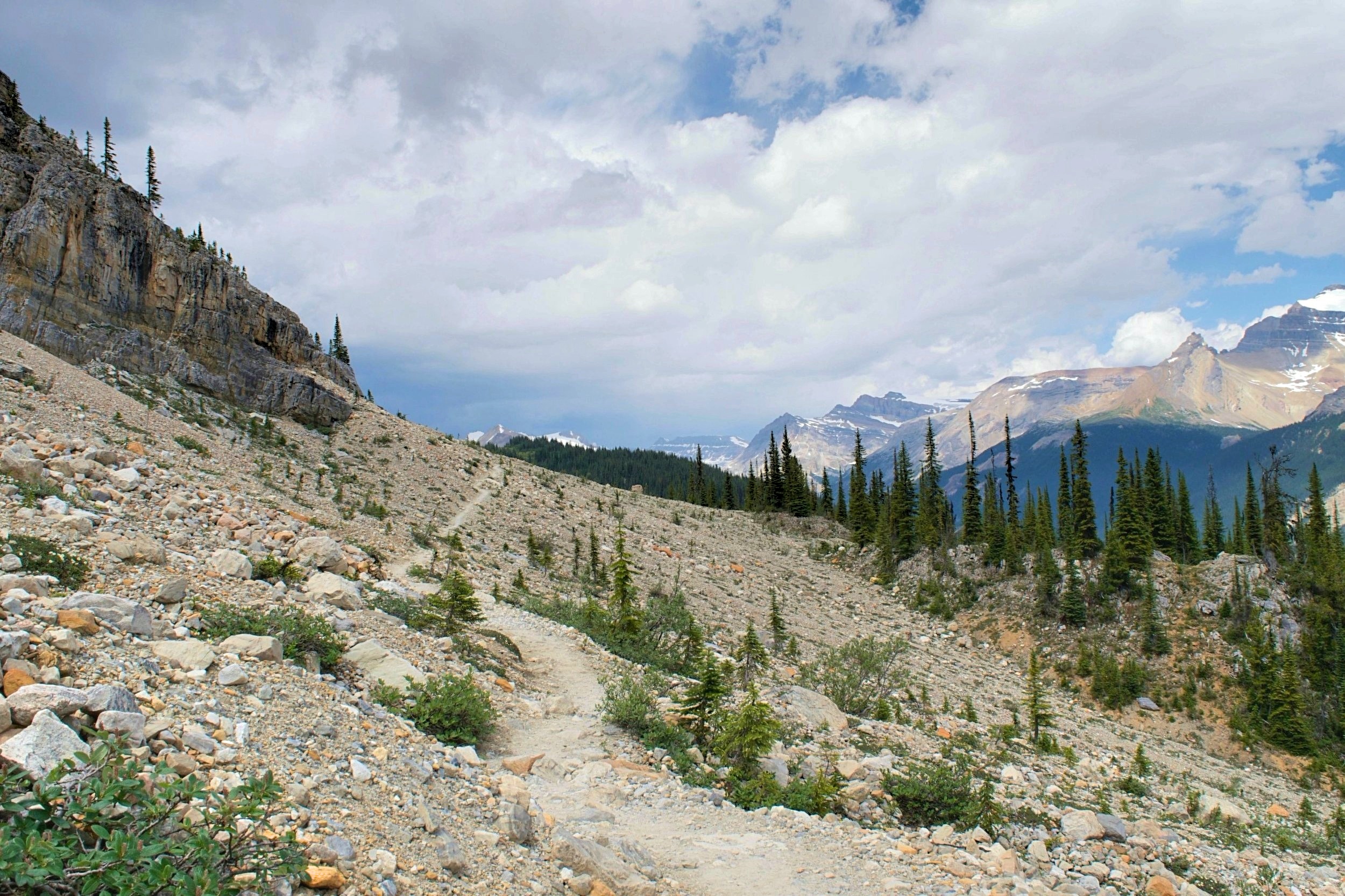 DSC_0657.jpg