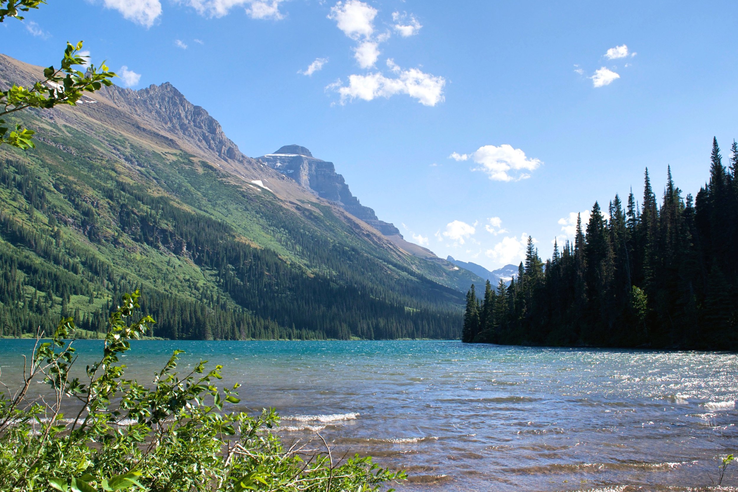 DSC_0108.jpg
