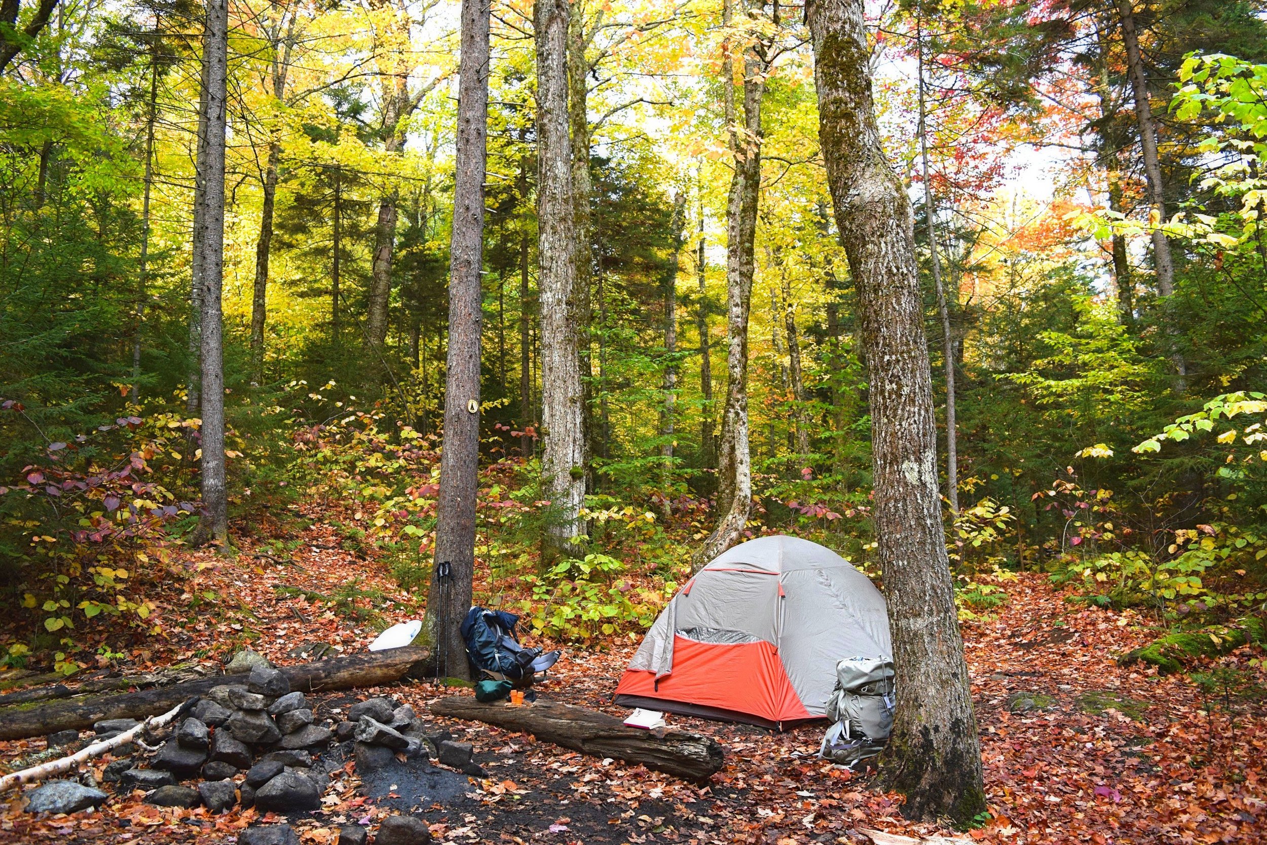 DSC_1247.jpg