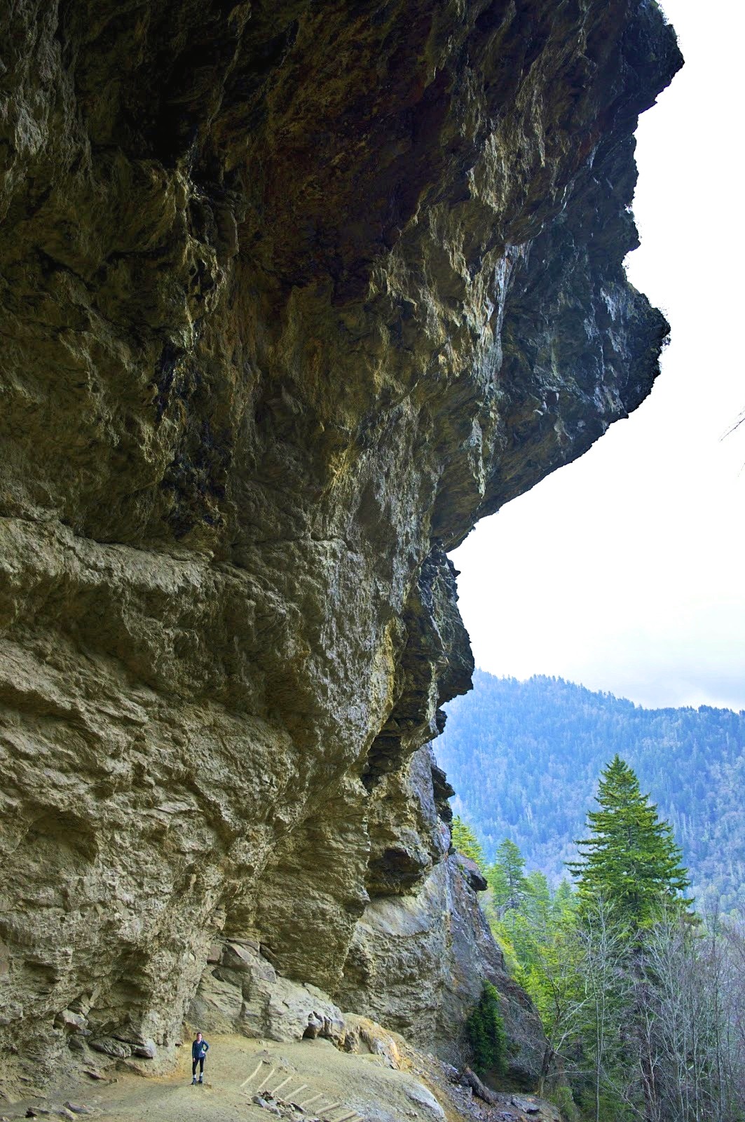 DSC_0670.jpg