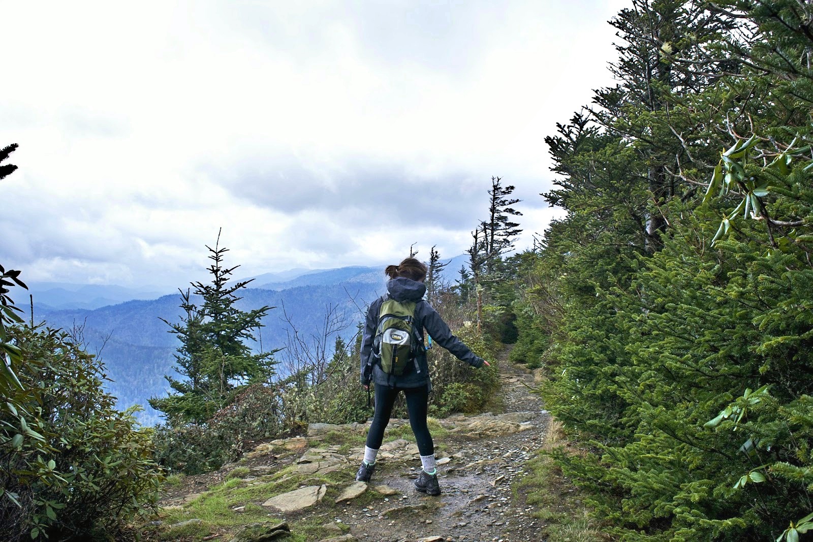 DSC_0736.jpg