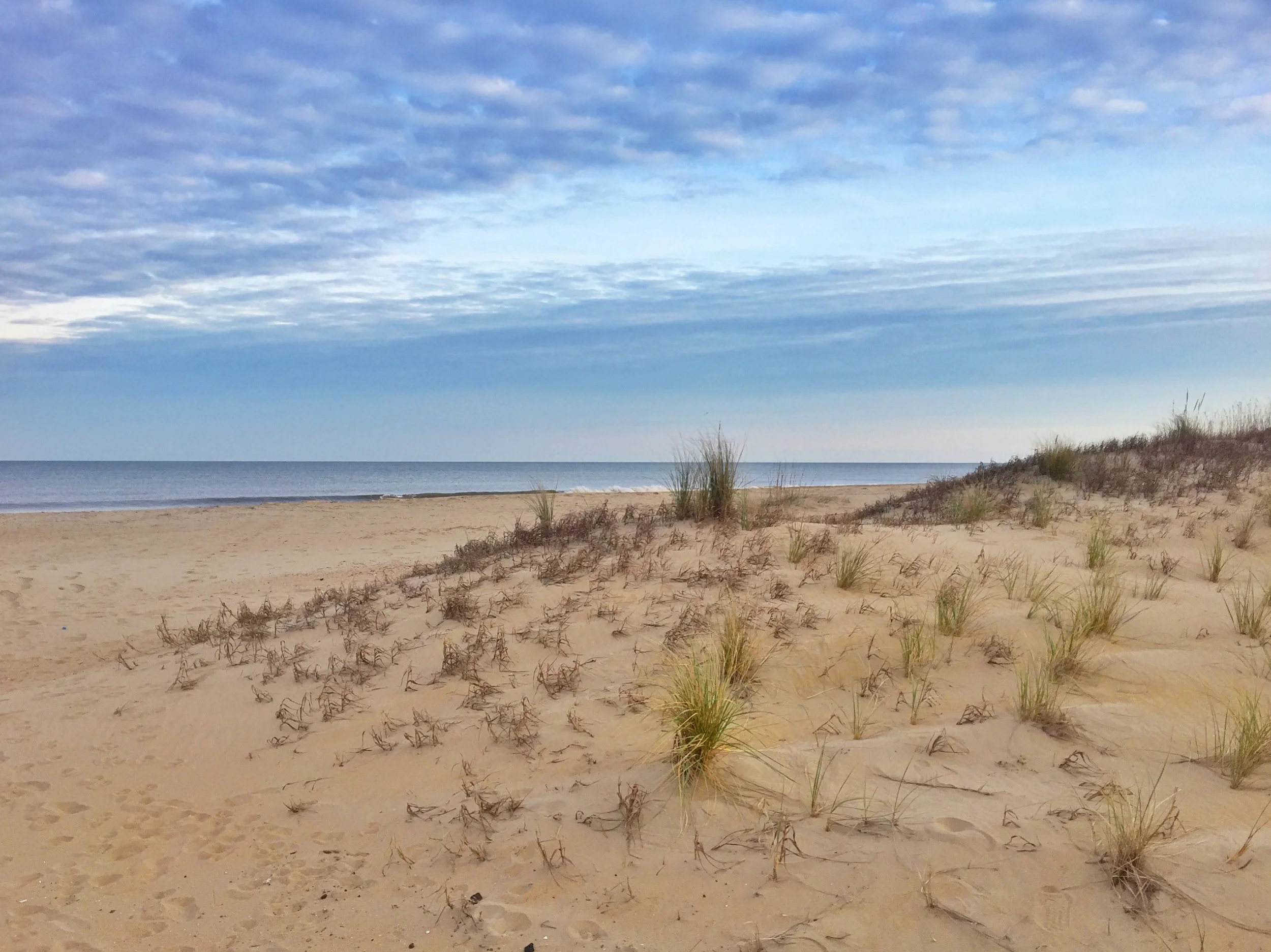 Beach walks!