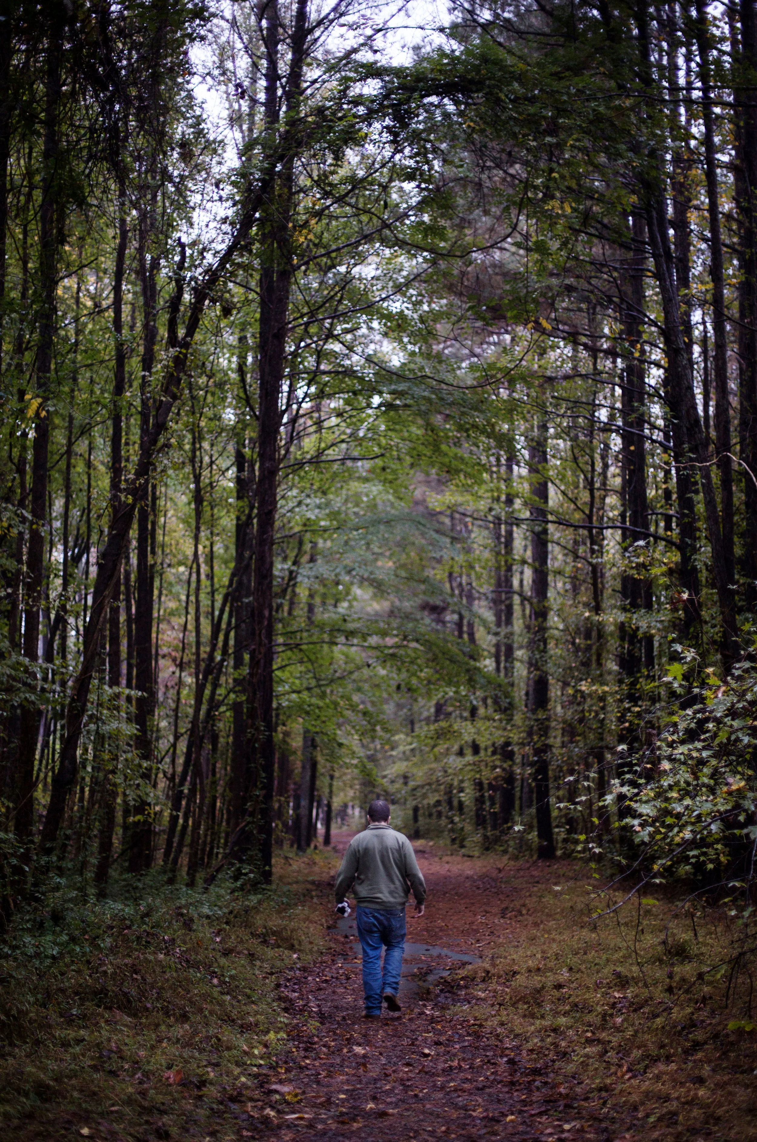 woods - Wake Forest NC.jpg