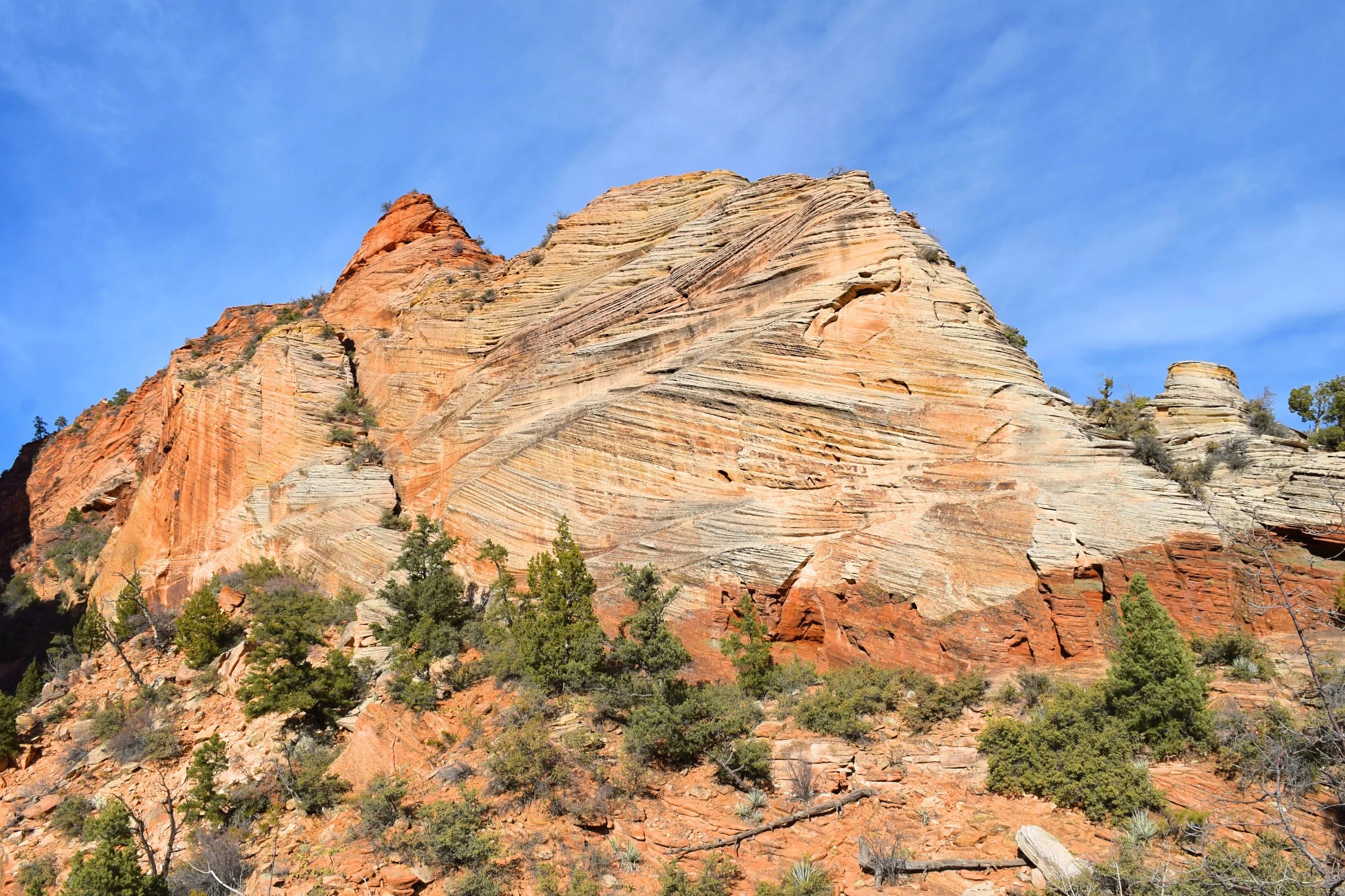 DSC_0695.jpg