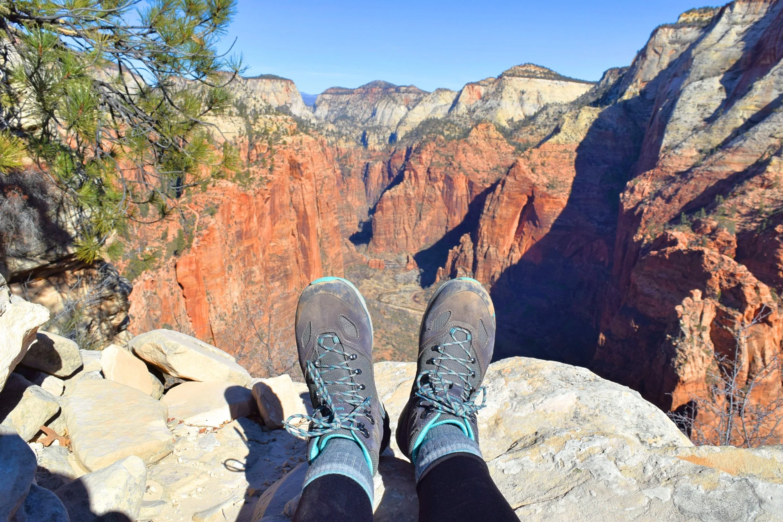 The view from Angels Landing looking north
