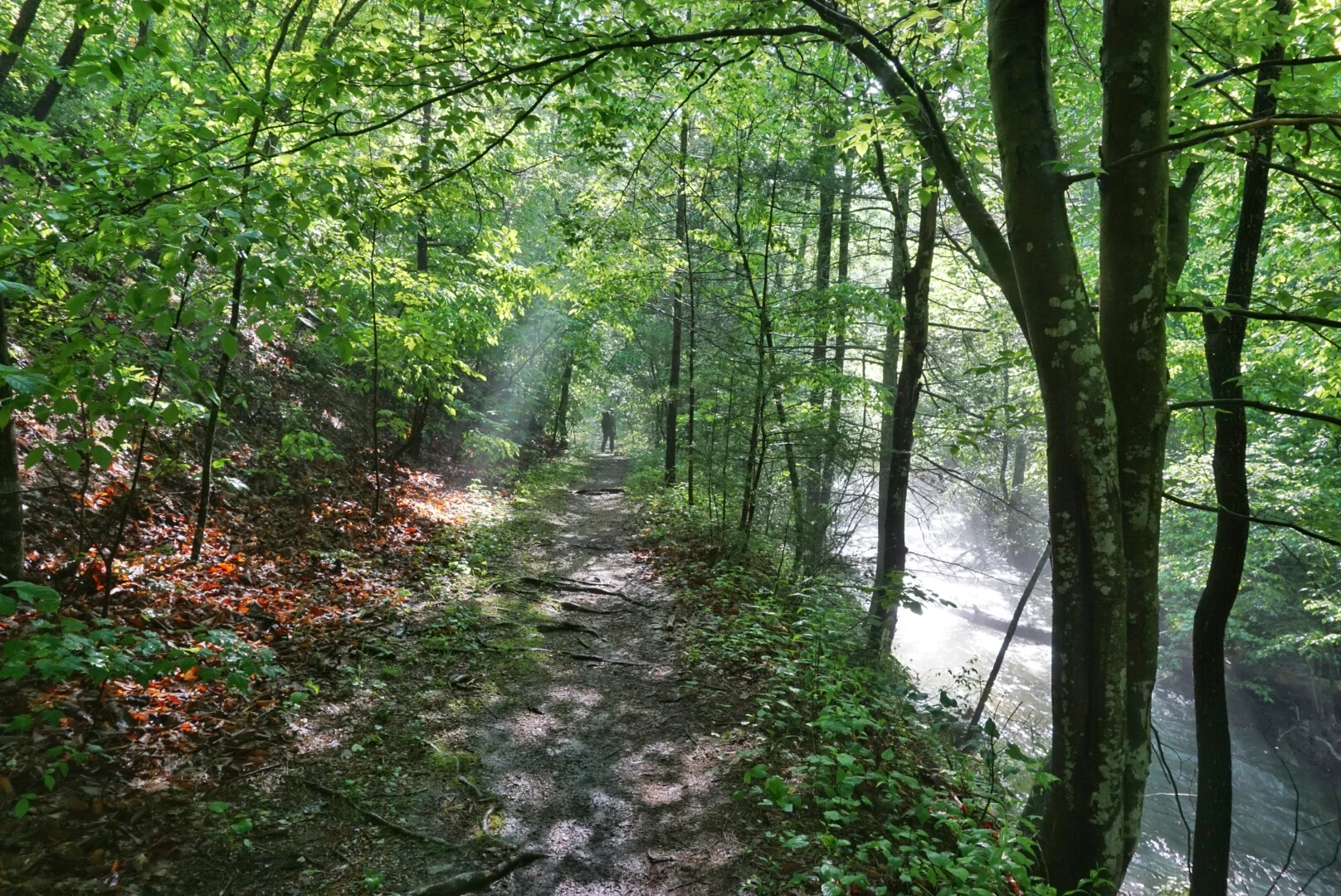 Big Rocky Row Hike 2.jpg