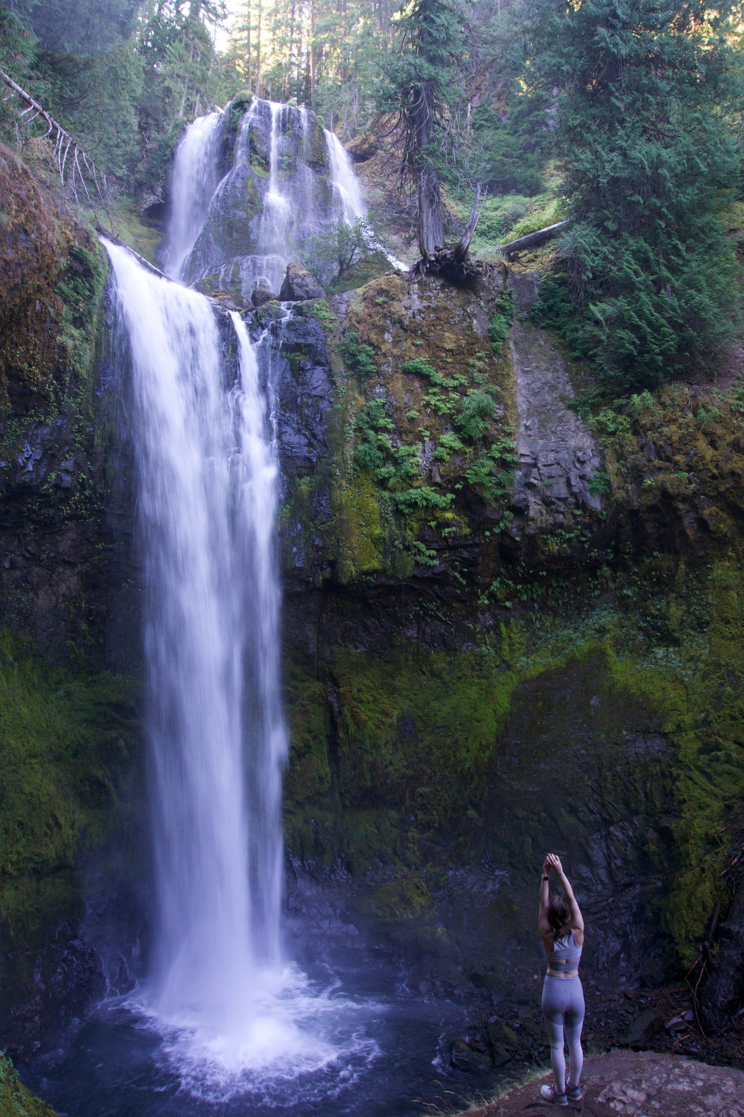 Fall+Creek+Falls,+Washington.jpeg