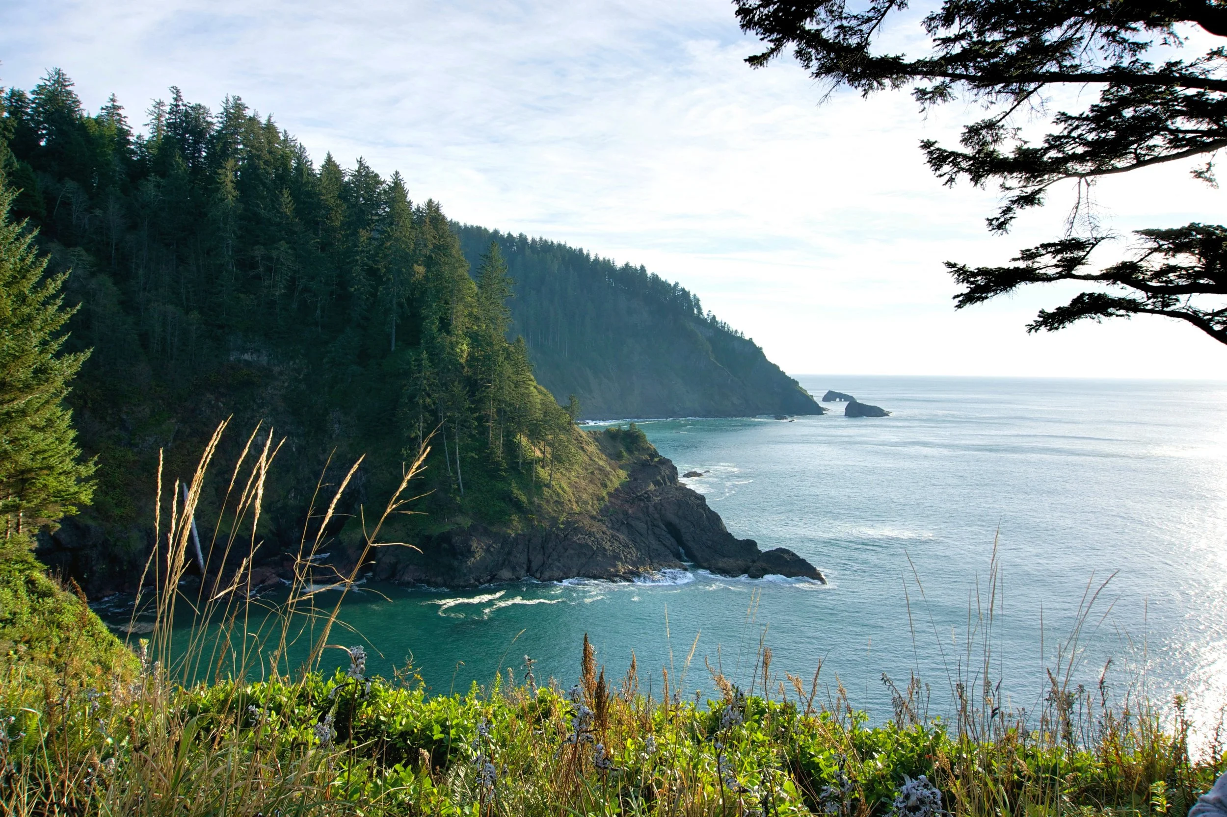 Hiking to Hart’s Cove — Snows Out West