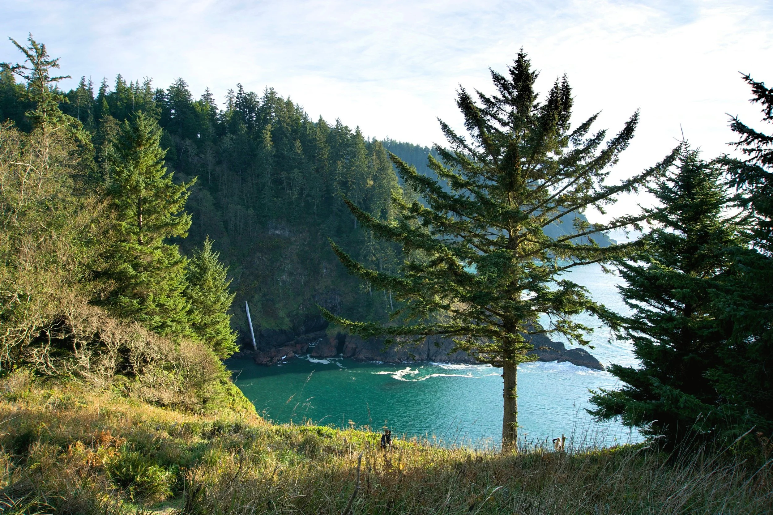 Hiking to Hart’s Cove — Snows Out West