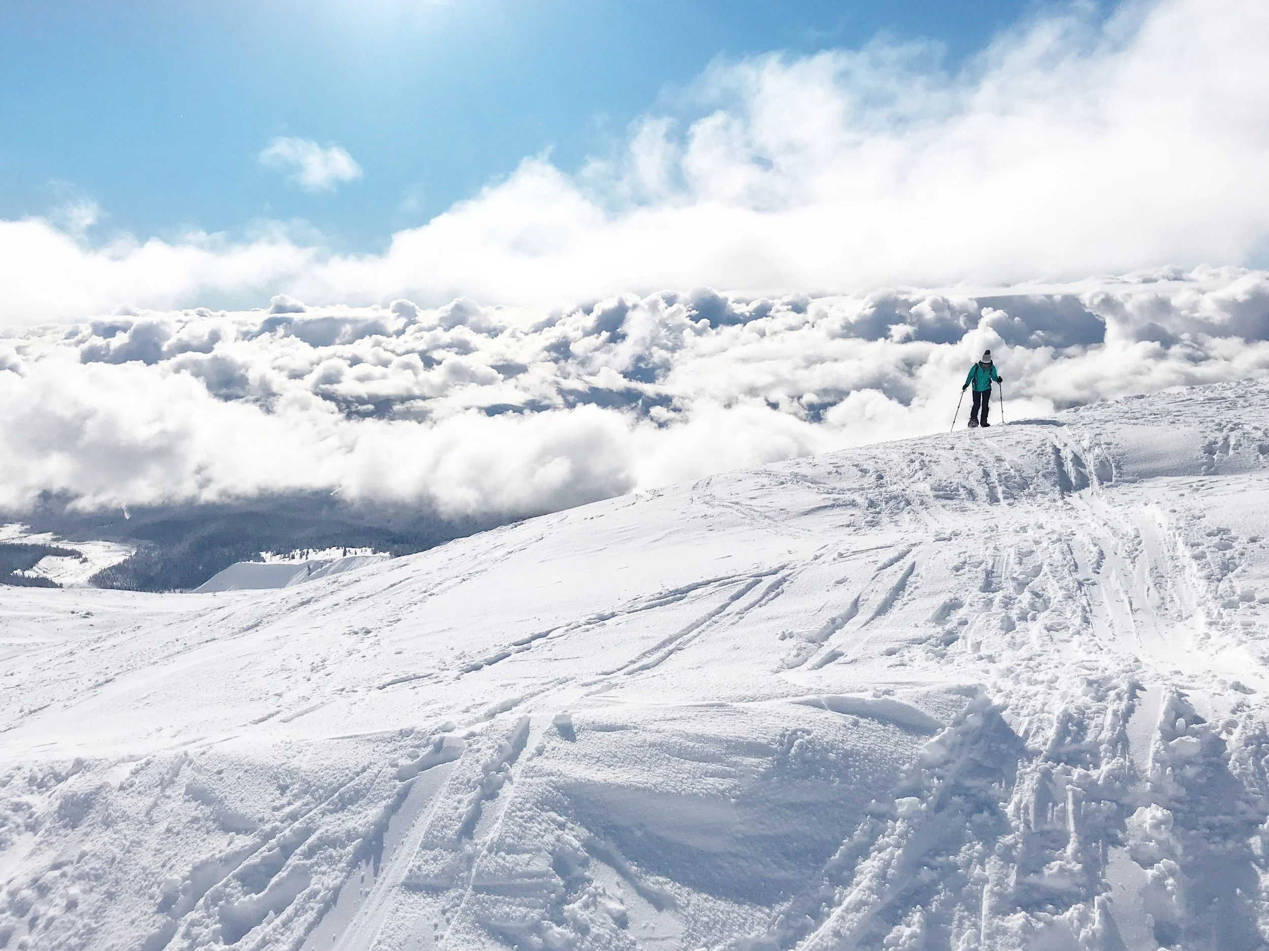 Snowshoeing+on+Mount+Hood.jpeg
