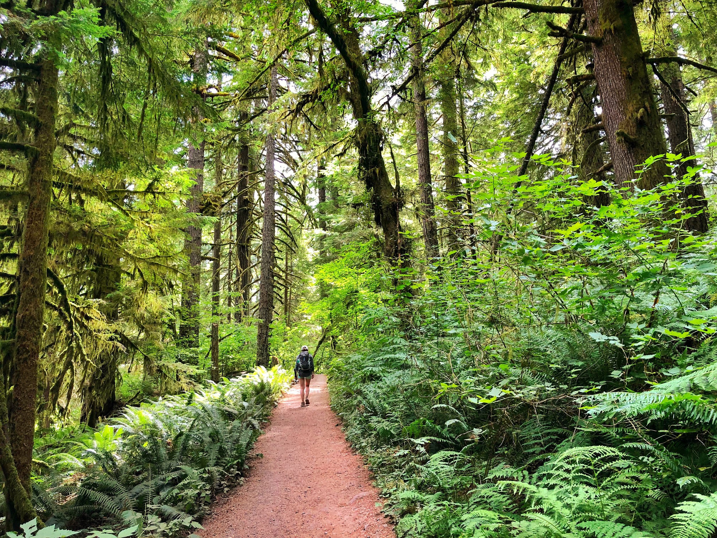 Silver+Falls+State+Park,+Oregon.jpeg