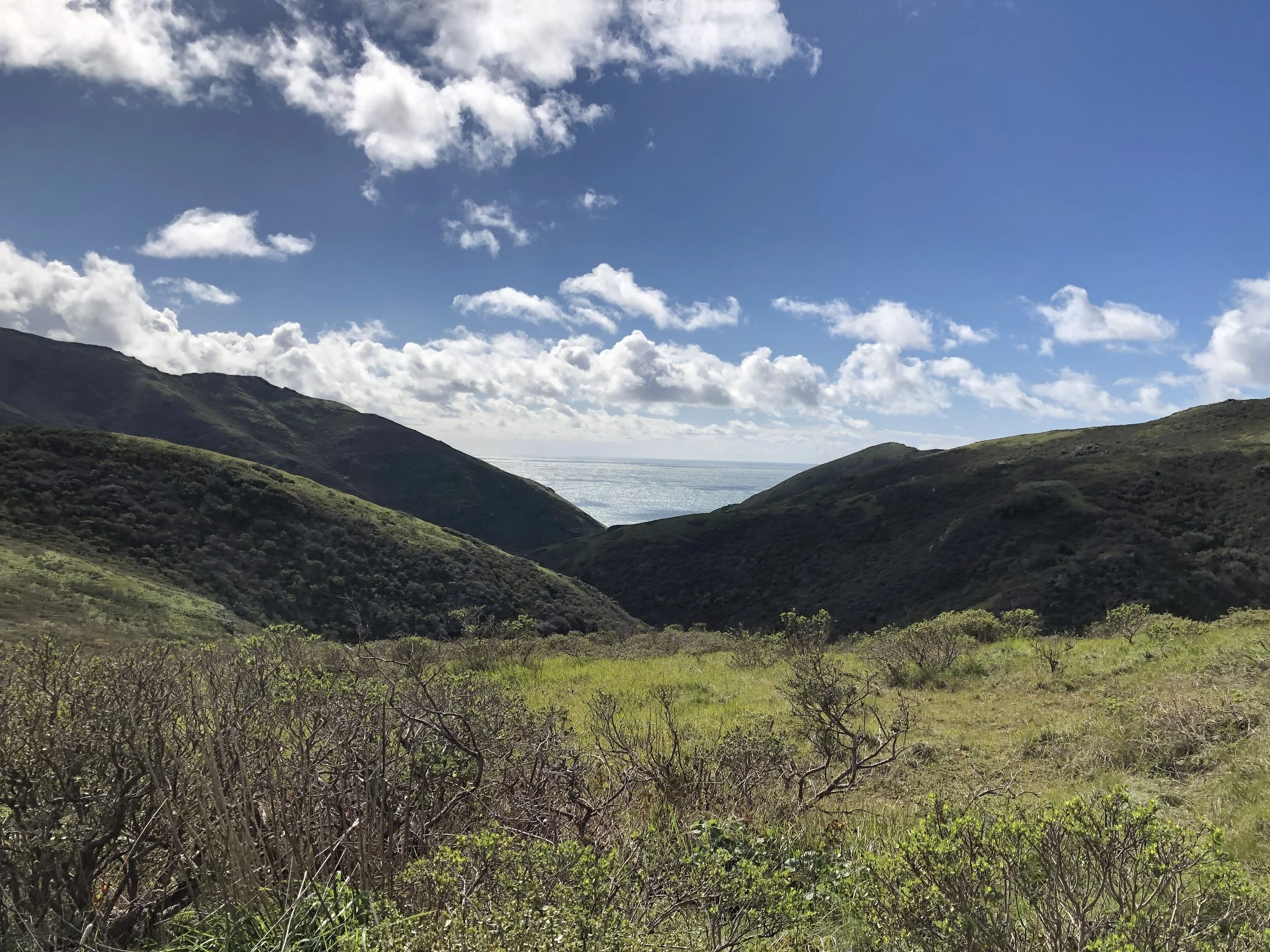IMG_5832.jpeg