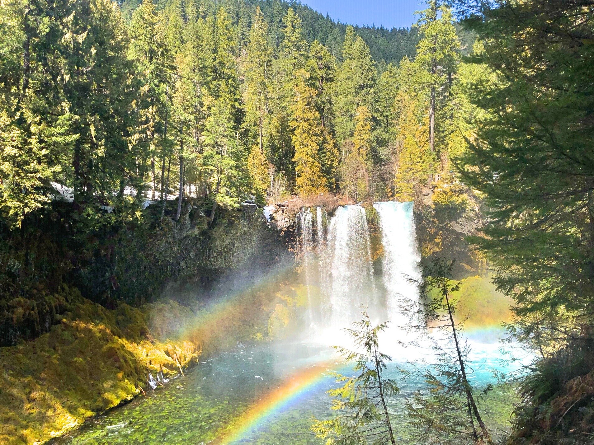 Koosah+Falls,+Oregon.jpeg