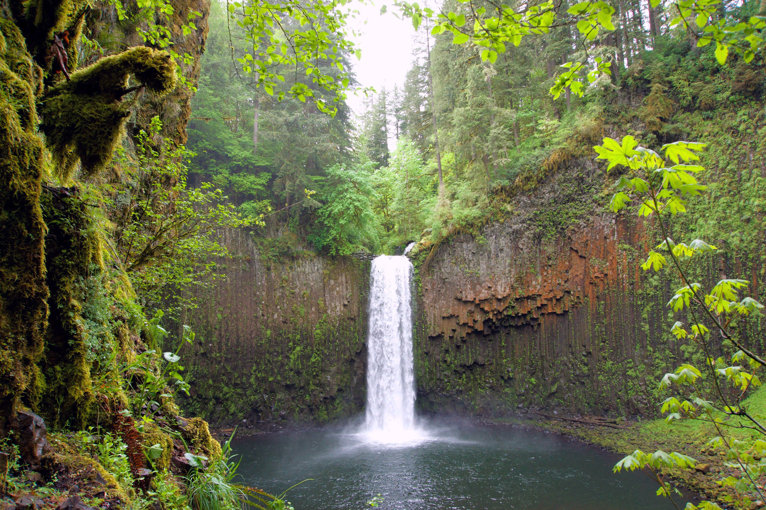 Abiqua+Falls,+Oregon (1).jpeg