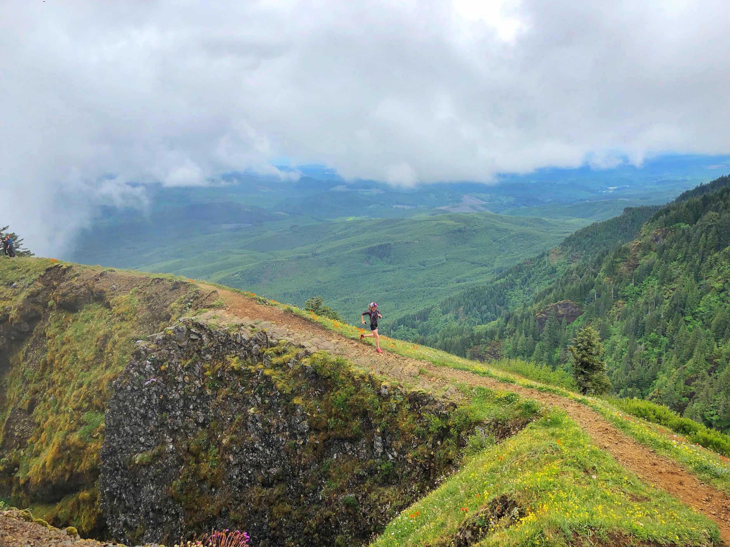 Saddle+Mountain,+Oregon.jpeg