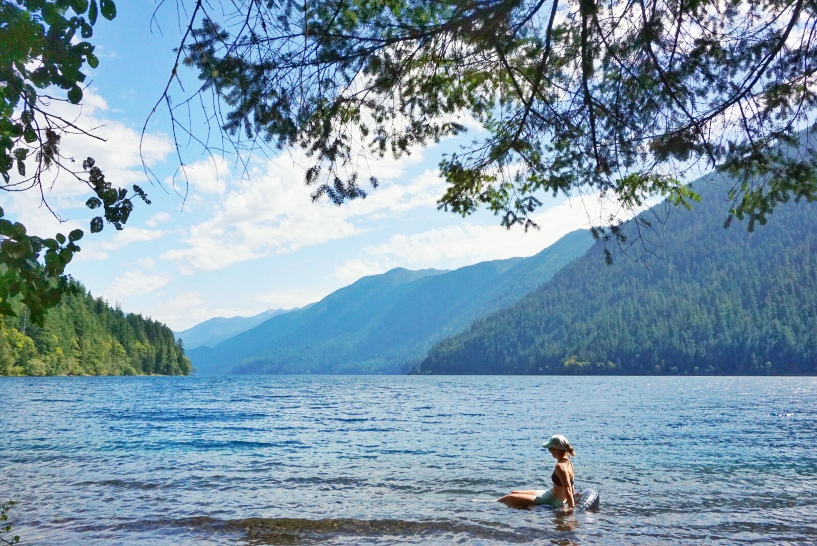 Olympic NP 1.jpg