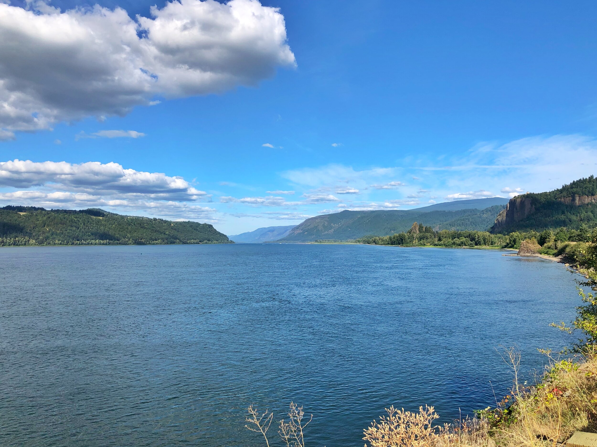 Columbia River Gorge.jpg