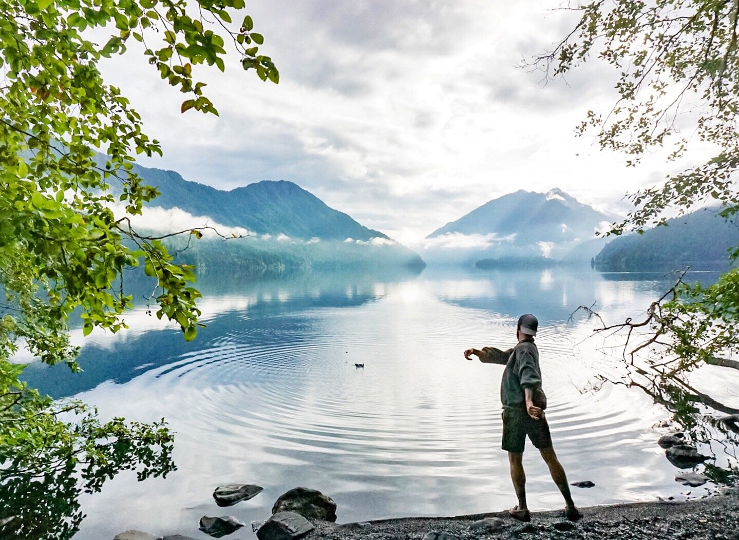 Olympic NP.JPG