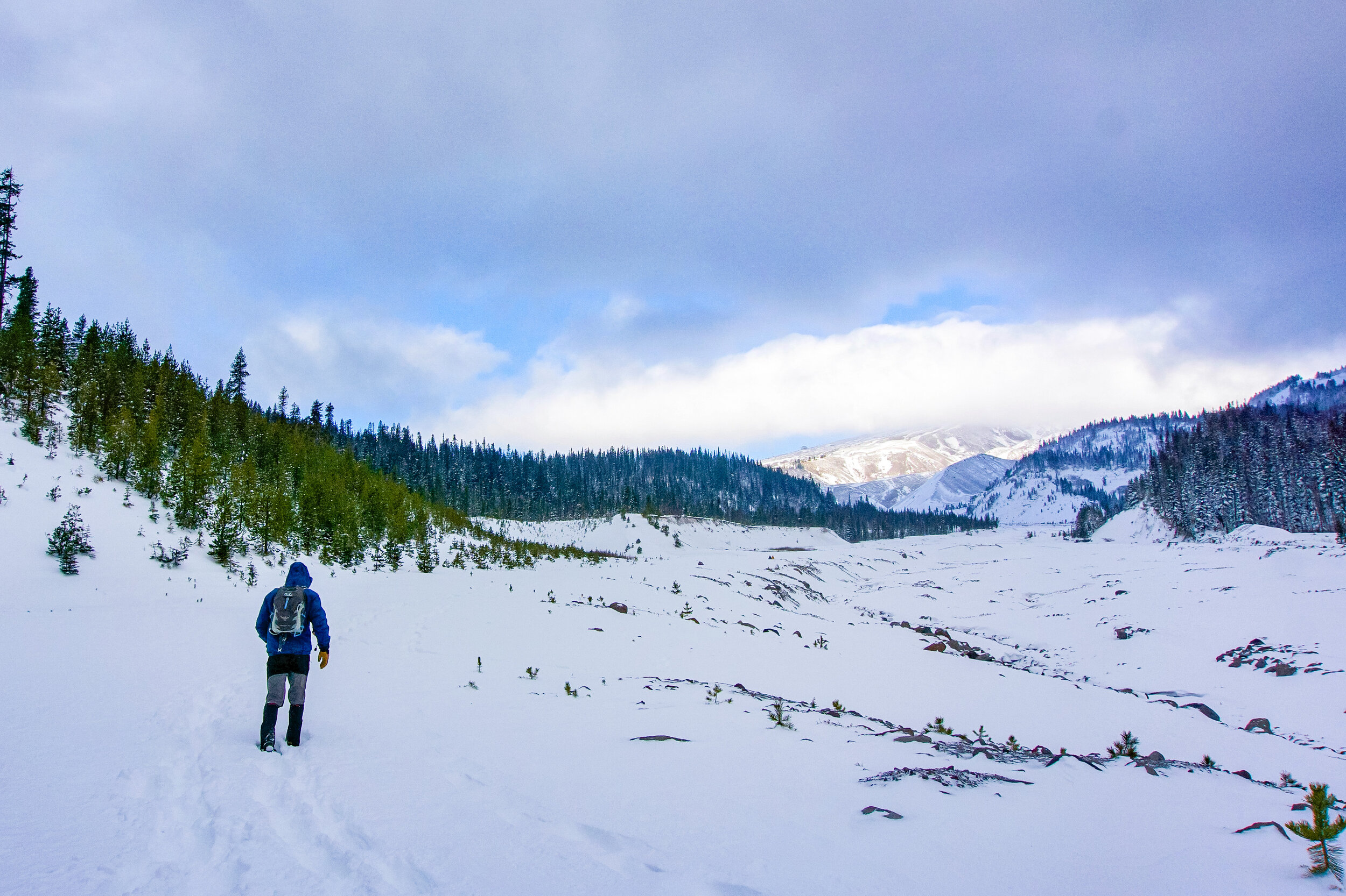 white river mount hood snowshoe.JPG