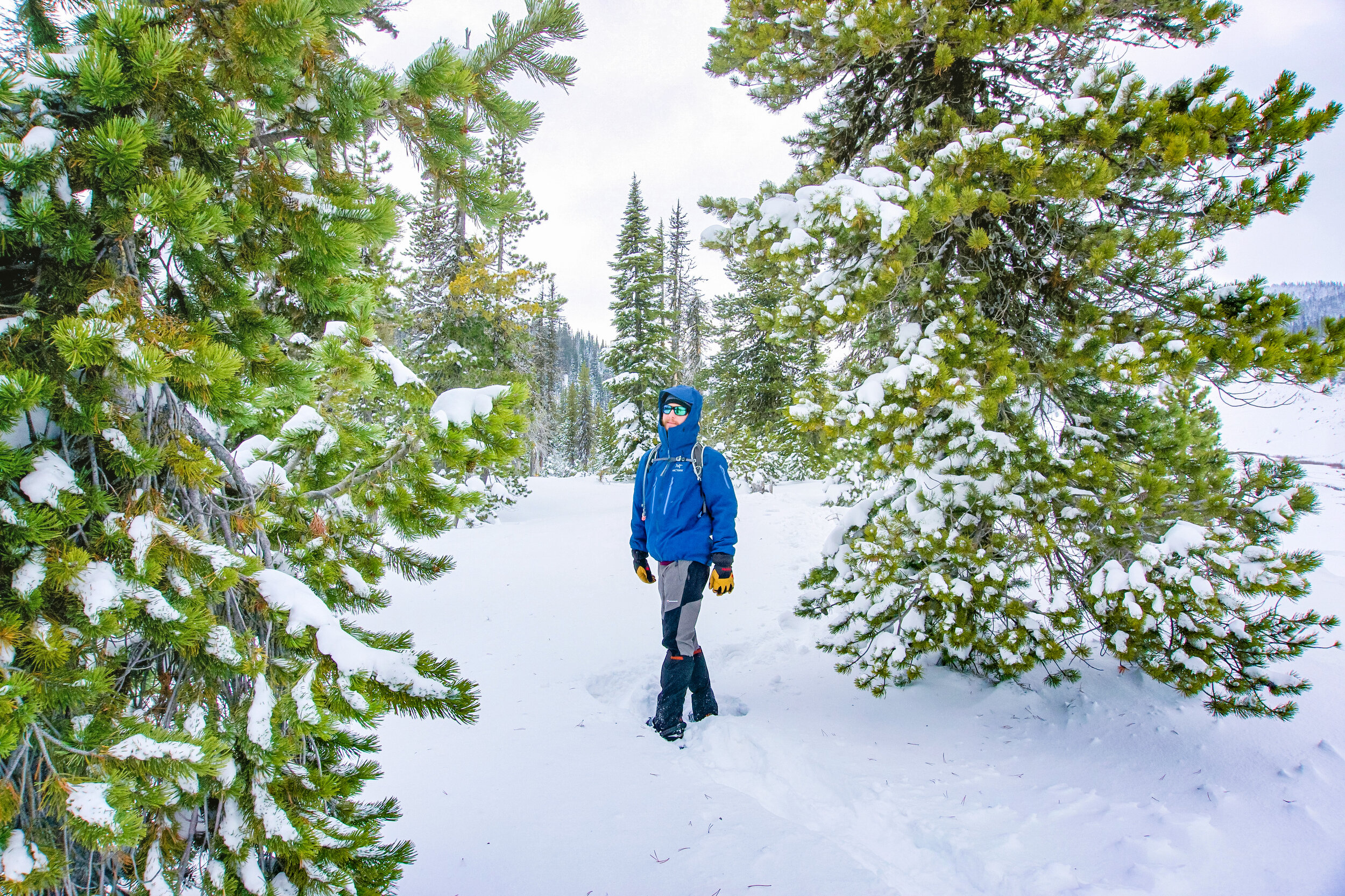 white river mount hood snowshoe1.JPG