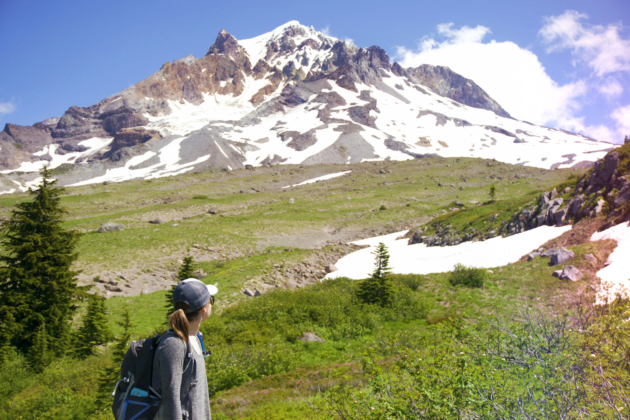 Paradise+Park+Mount+Hood.jpeg