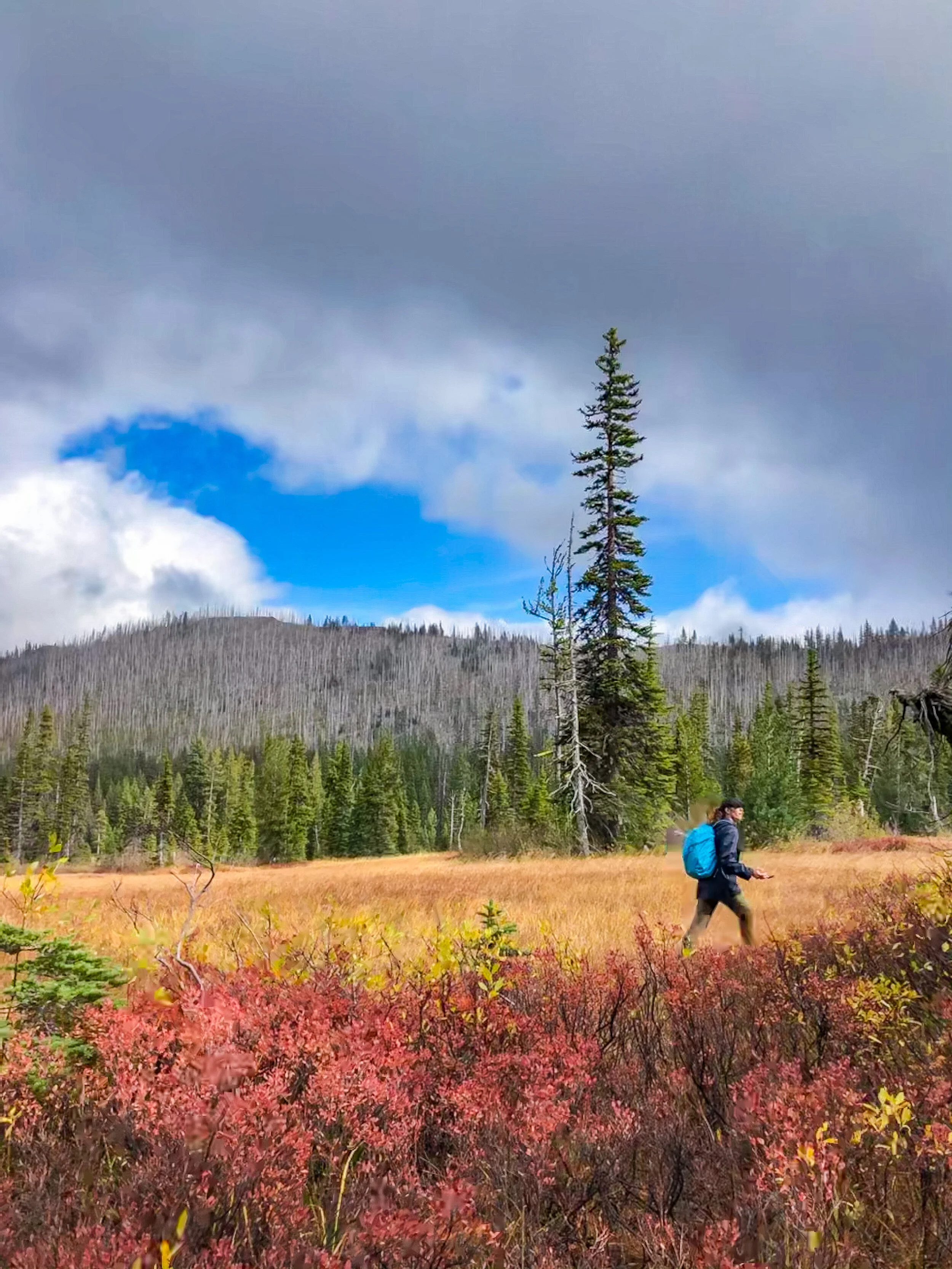 Hiking to Elk Meadows, Mount Hood National Forest, Oregon — Snows Out West