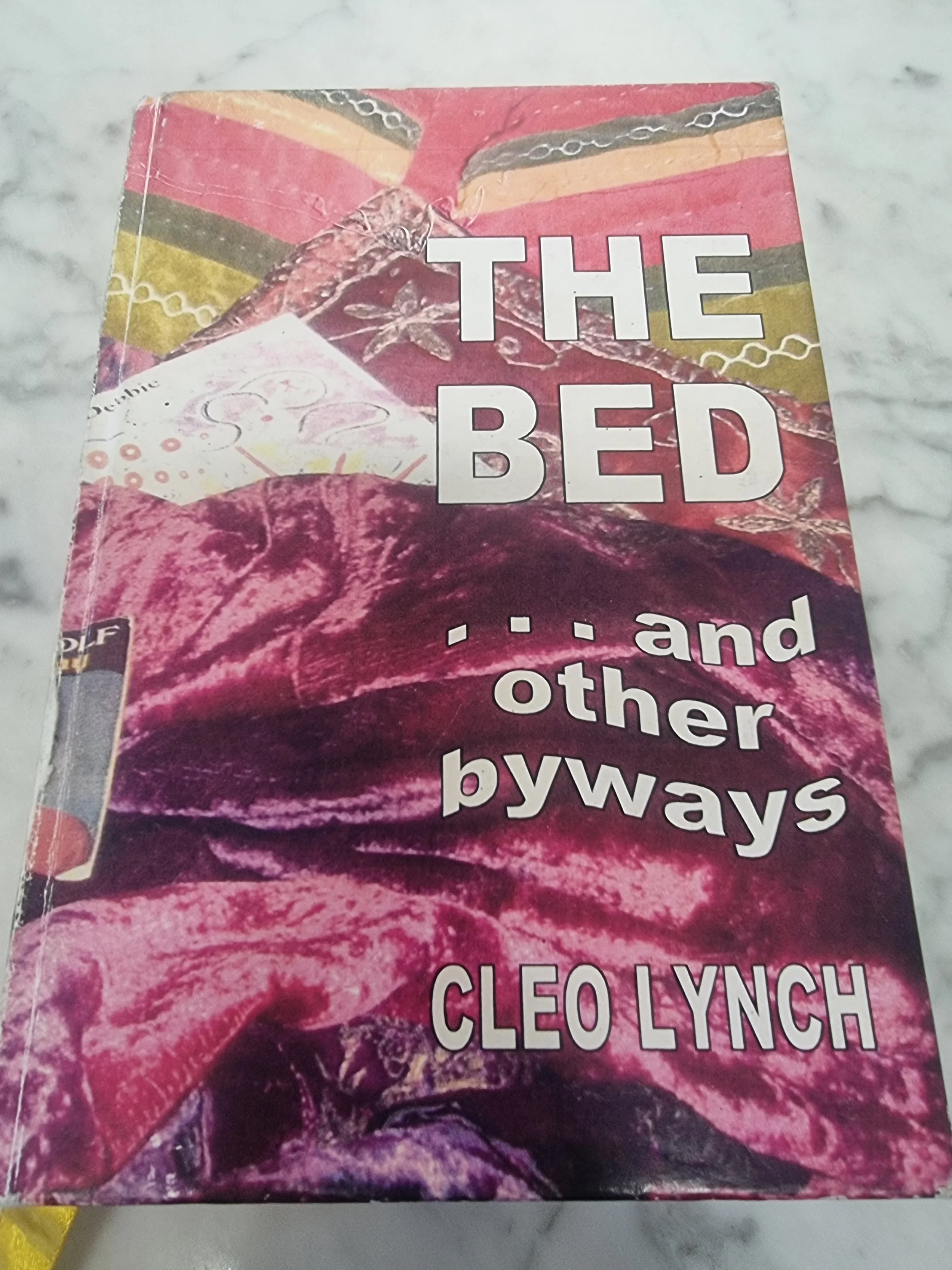 Speaker Talk by Author & Resident Cleo