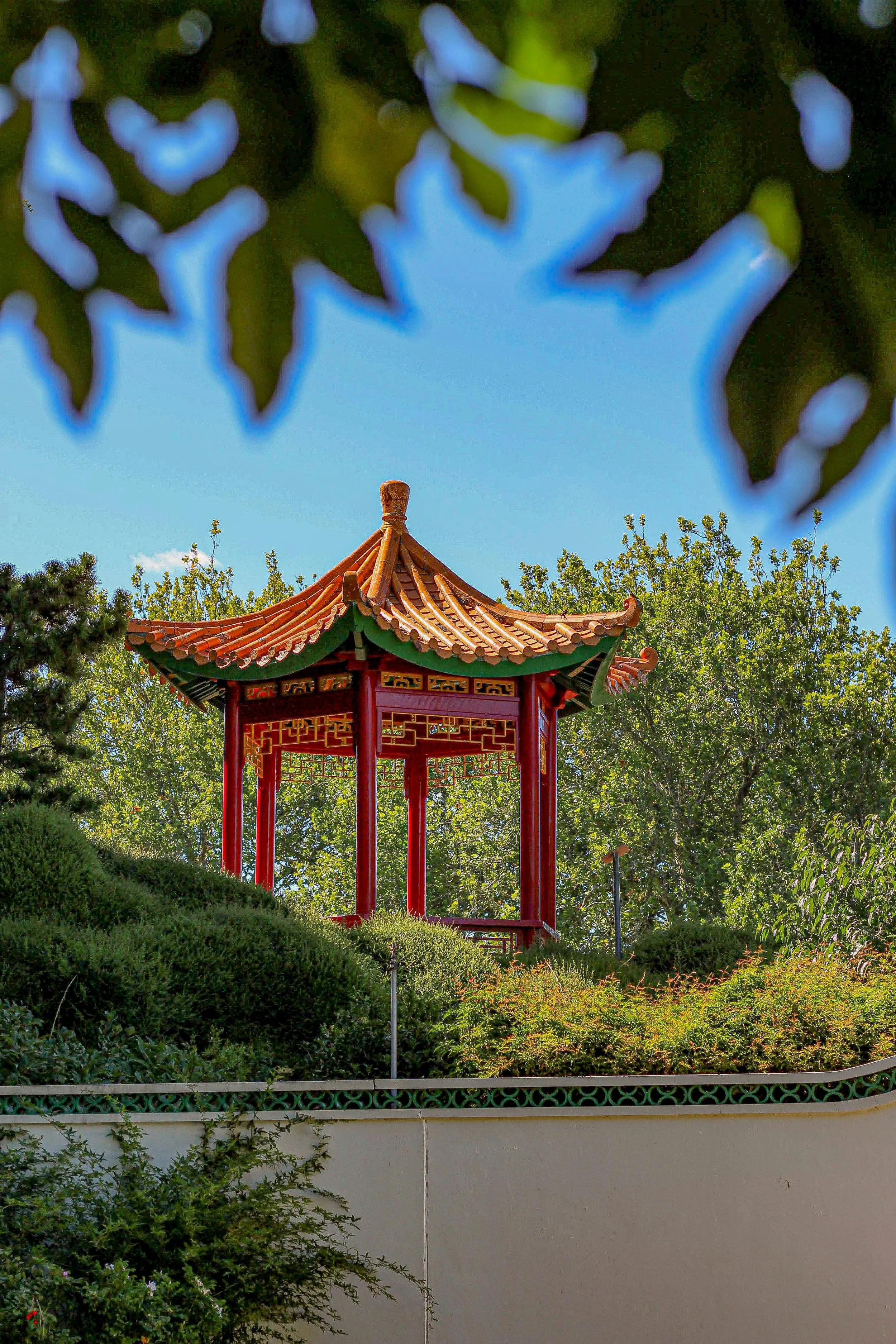 Bus Trip to the Chinese Garden of Friendship 