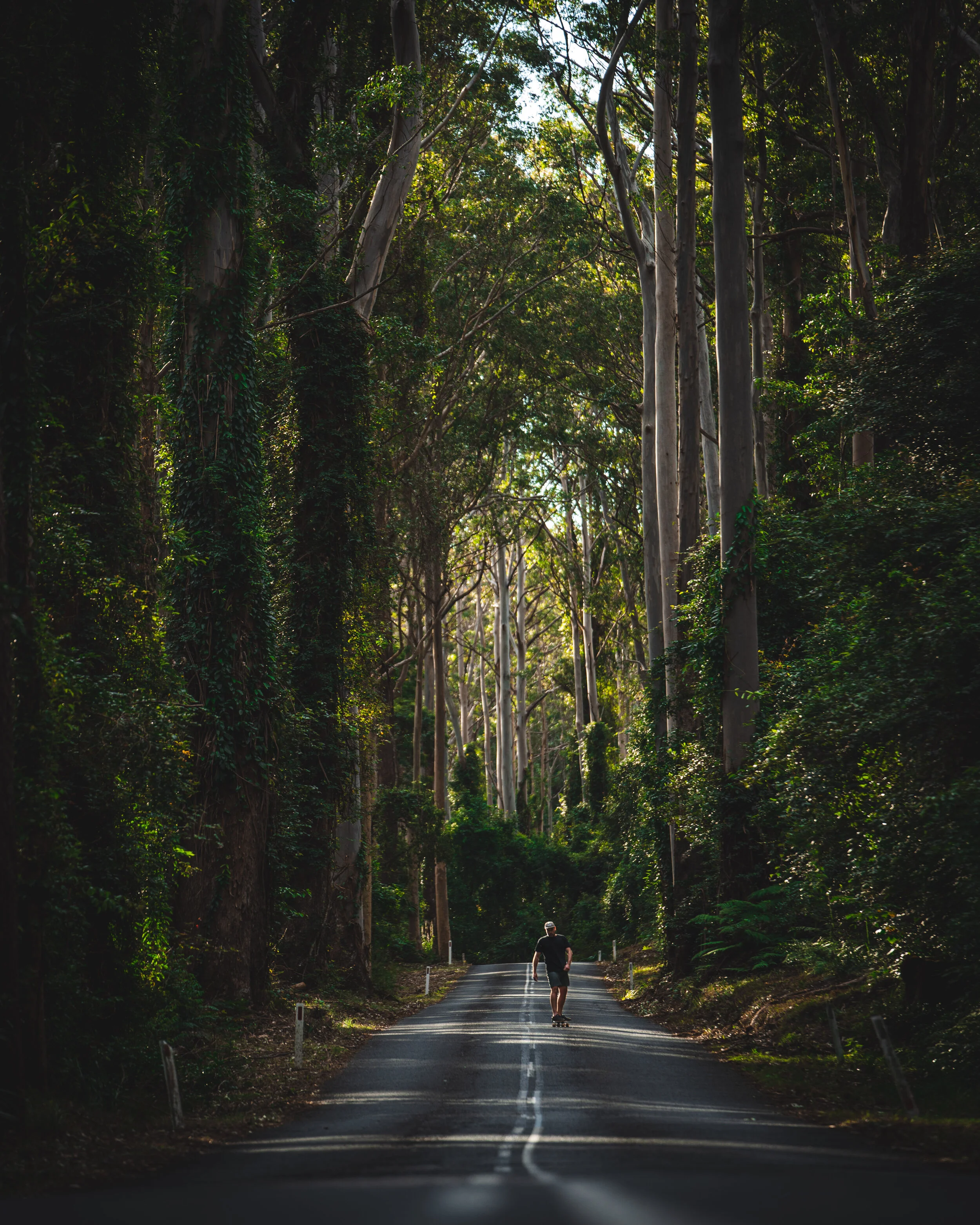 depot skateboard  (1 of 2).jpg