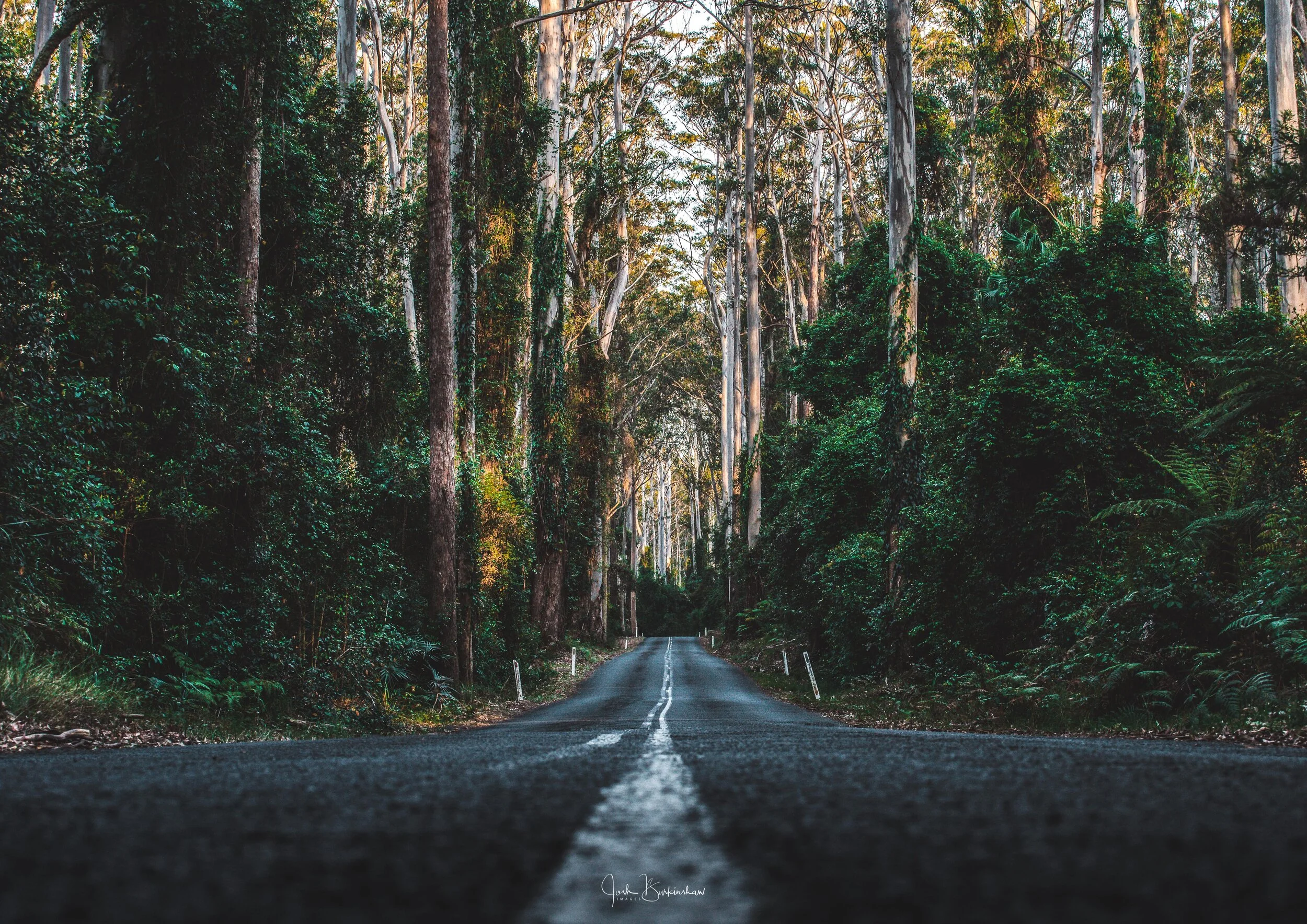 Landscape Mt Agony rd low (1 of 1).jpg