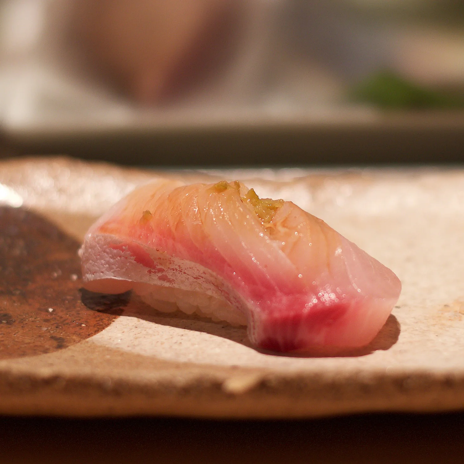 The Sushi Geek