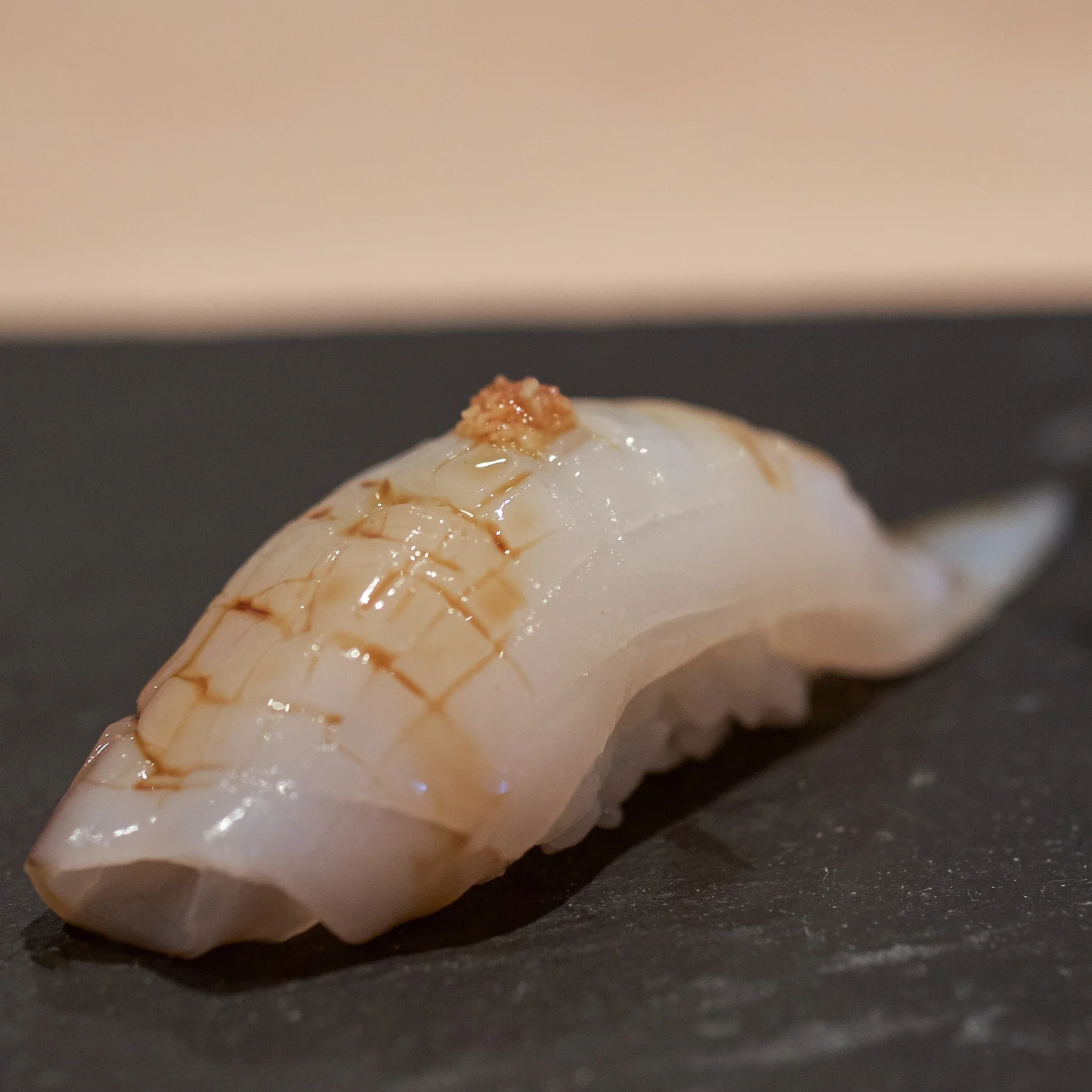The Sushi Geek