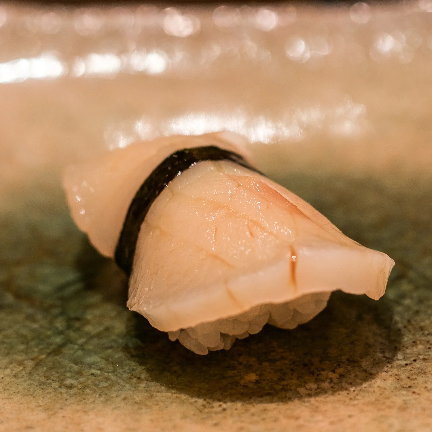 The Sushi Geek