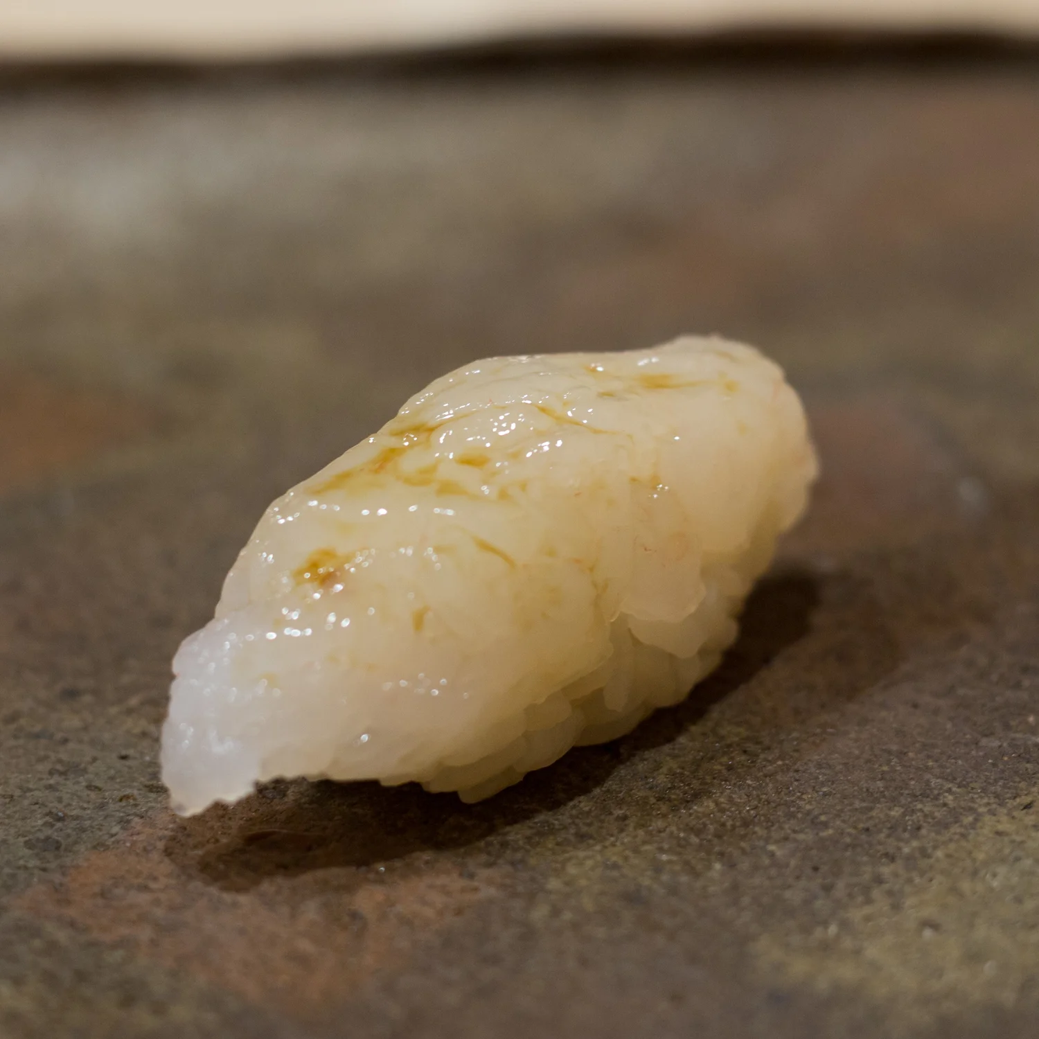 The Sushi Geek
