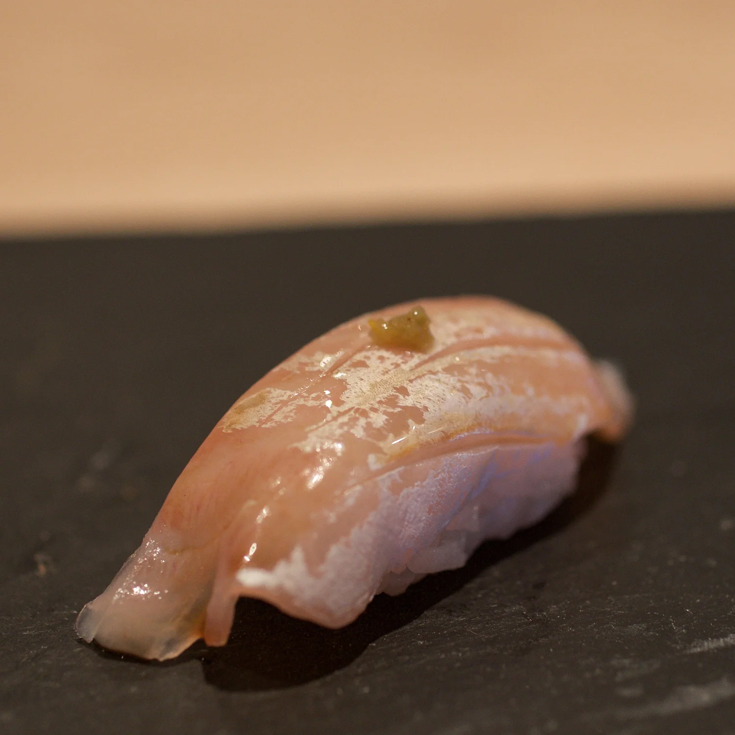 The Sushi Geek
